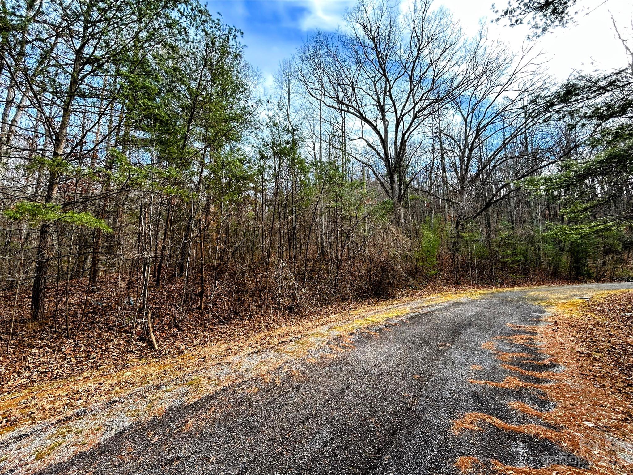 Lot 8 Azalea Way Property Photo 8