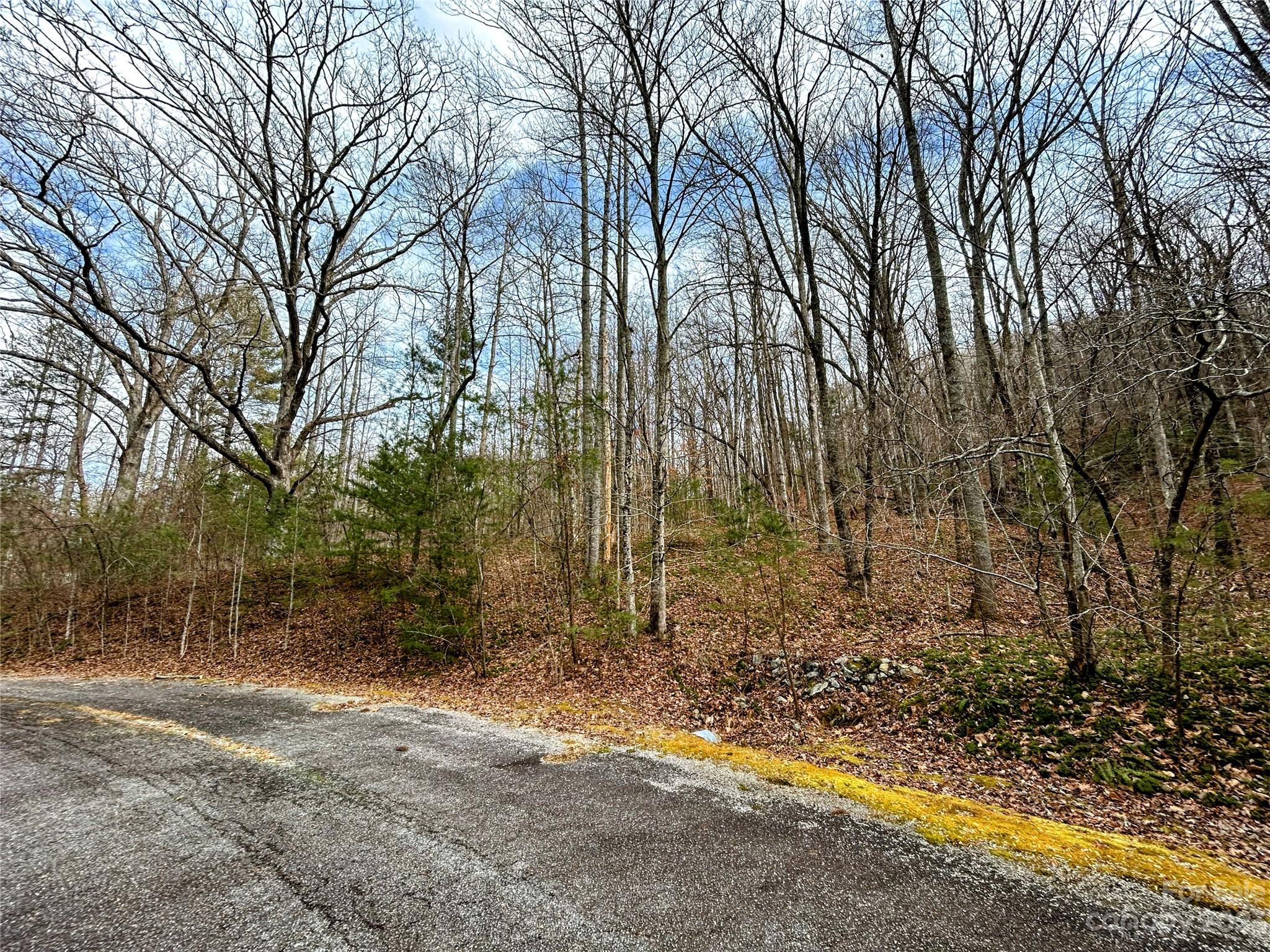 Lot 8 Azalea Way Property Photo 9