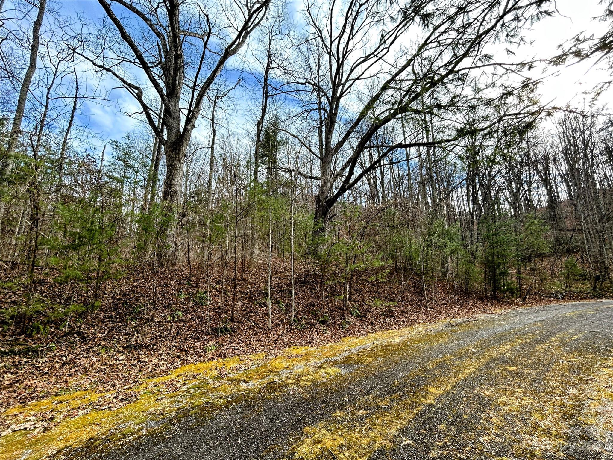Lot 8 Azalea Way Property Photo 10