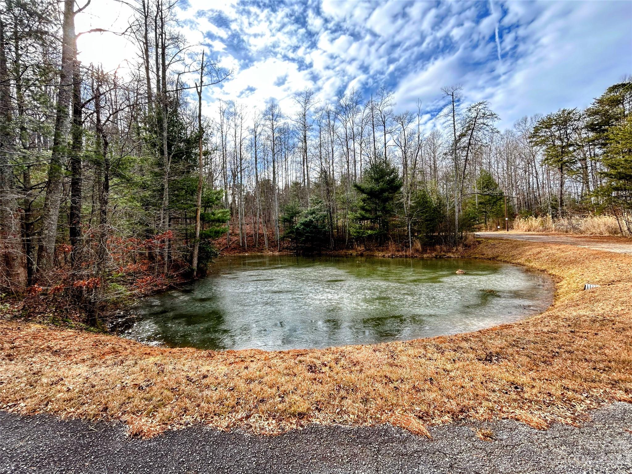 Lot 8 Azalea Way Property Photo 13