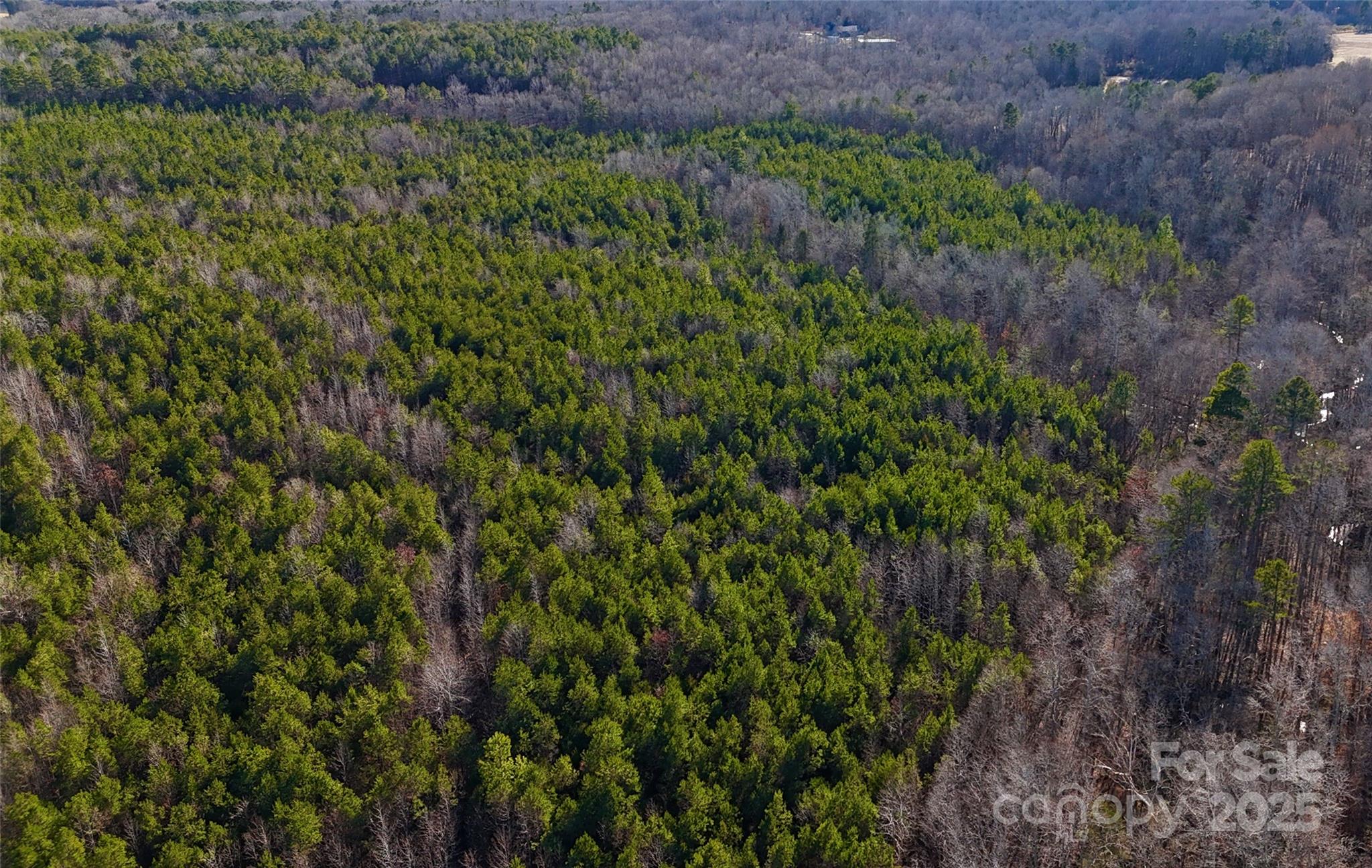 9721 Kerr Road Property Photo 2