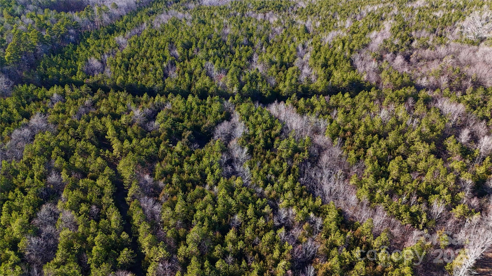 9721 Kerr Road Property Photo 7