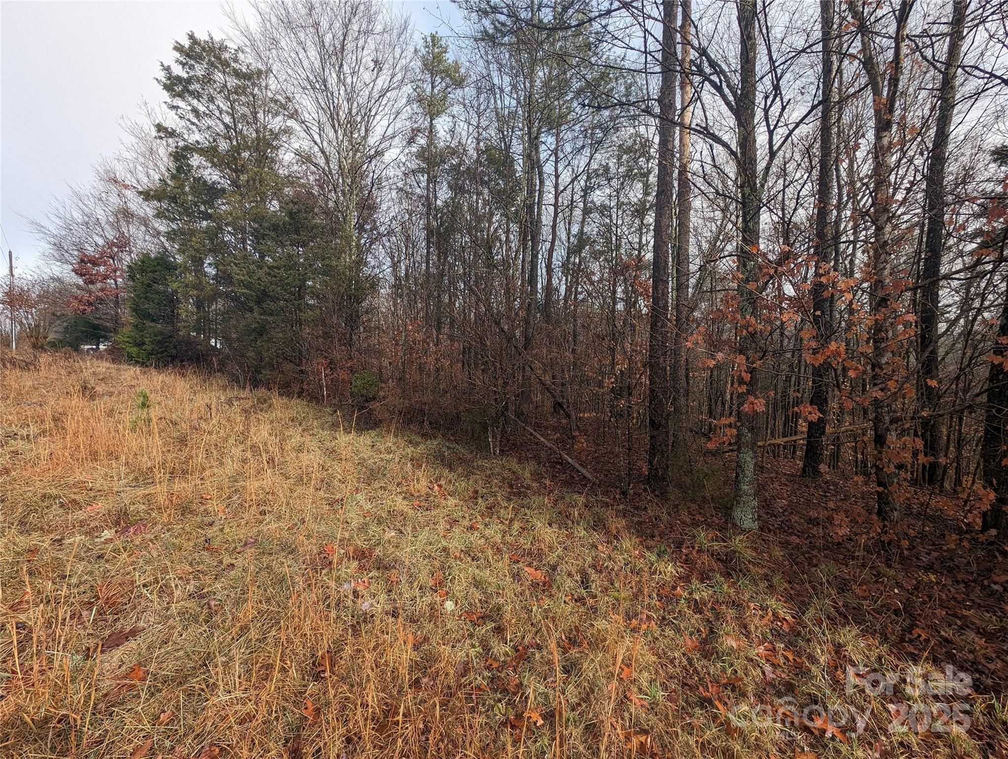 255 Bowers Road Property Photo 4