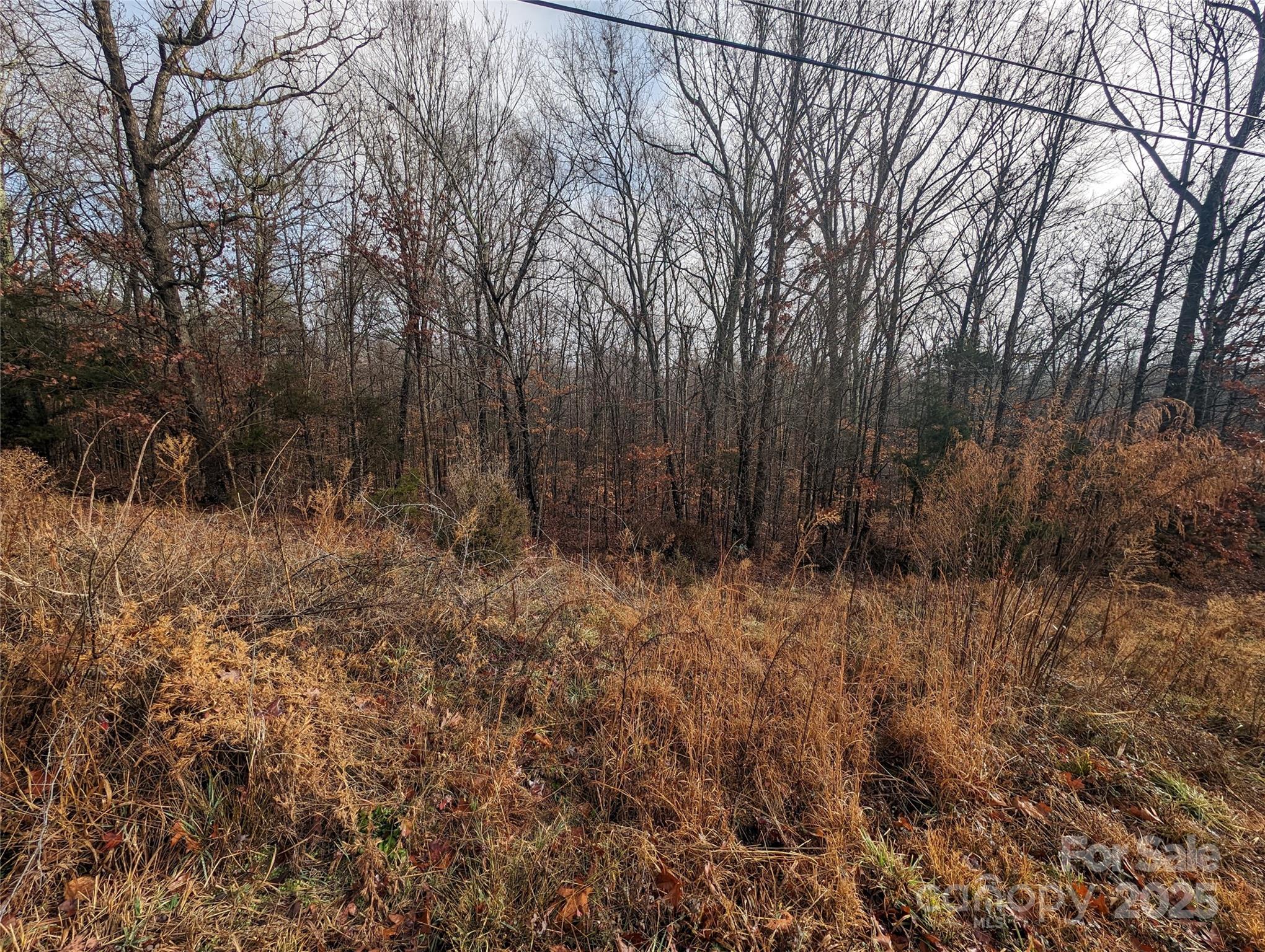 255 Bowers Road Property Photo 7