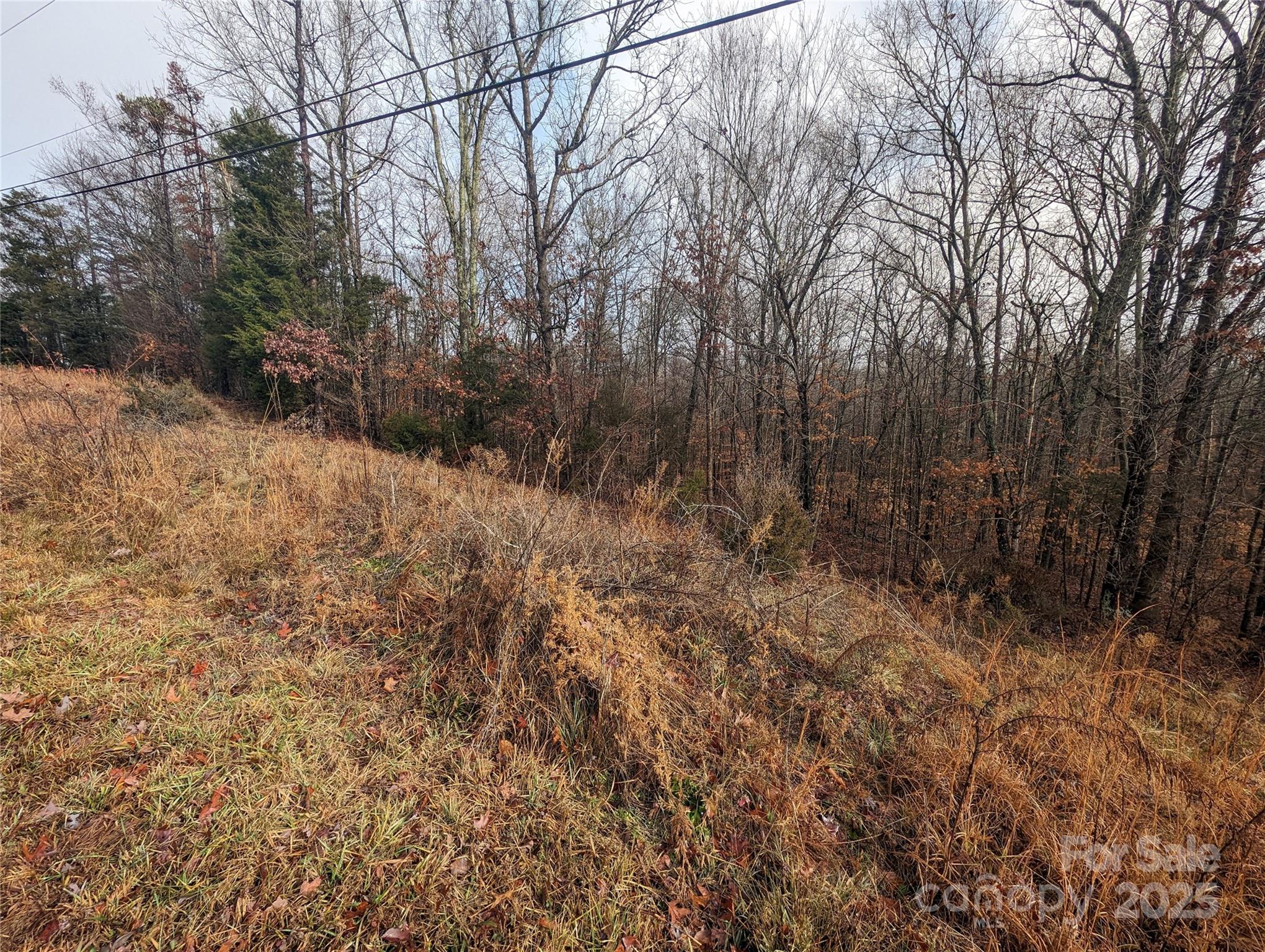 255 Bowers Road Property Photo 9