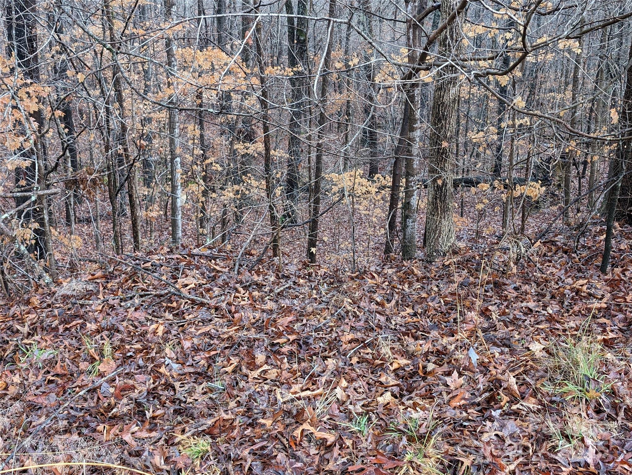 255 Bowers Road Property Photo 12
