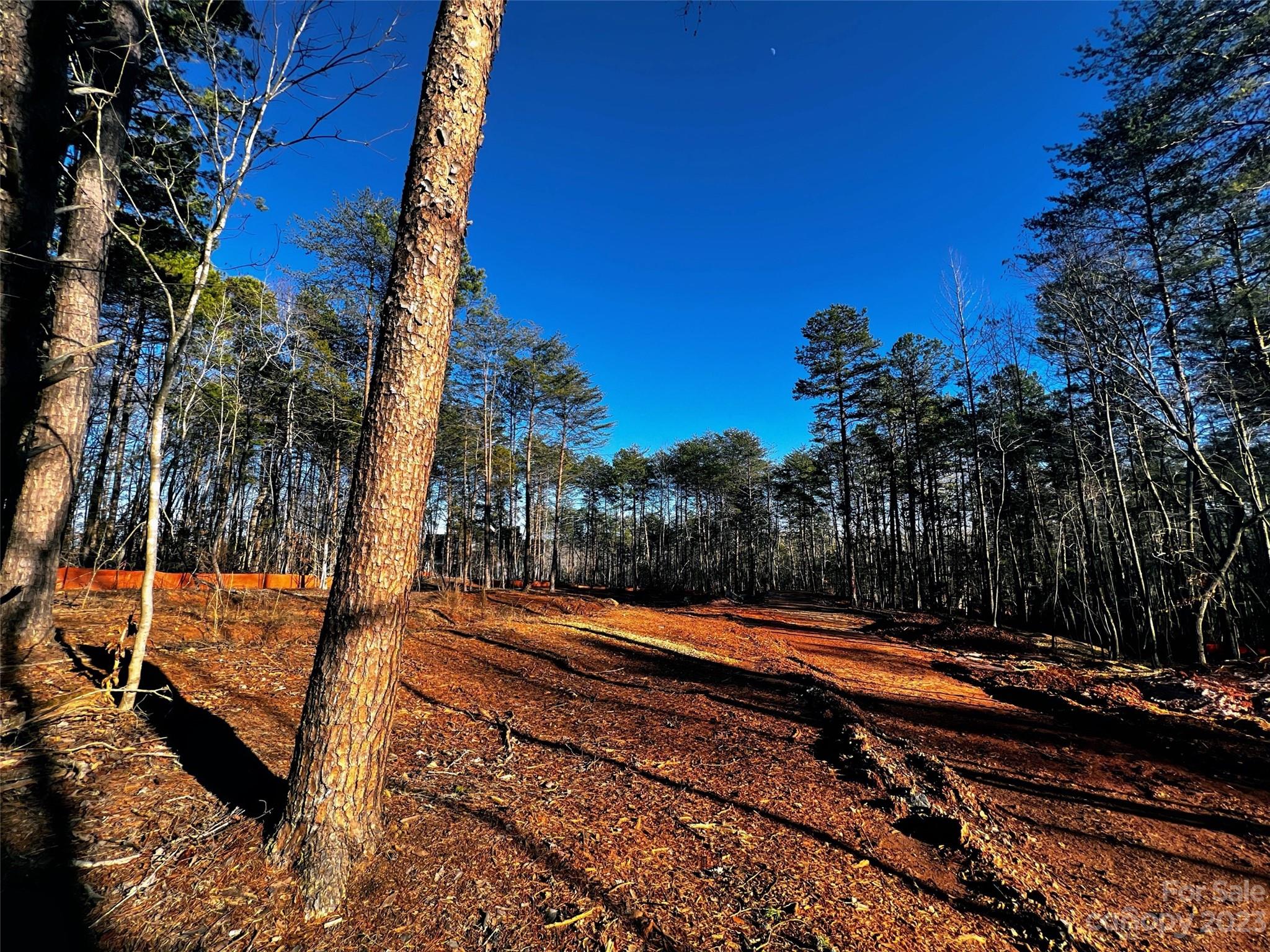 130 Hunt Camp Trail 14 Property Photo 3