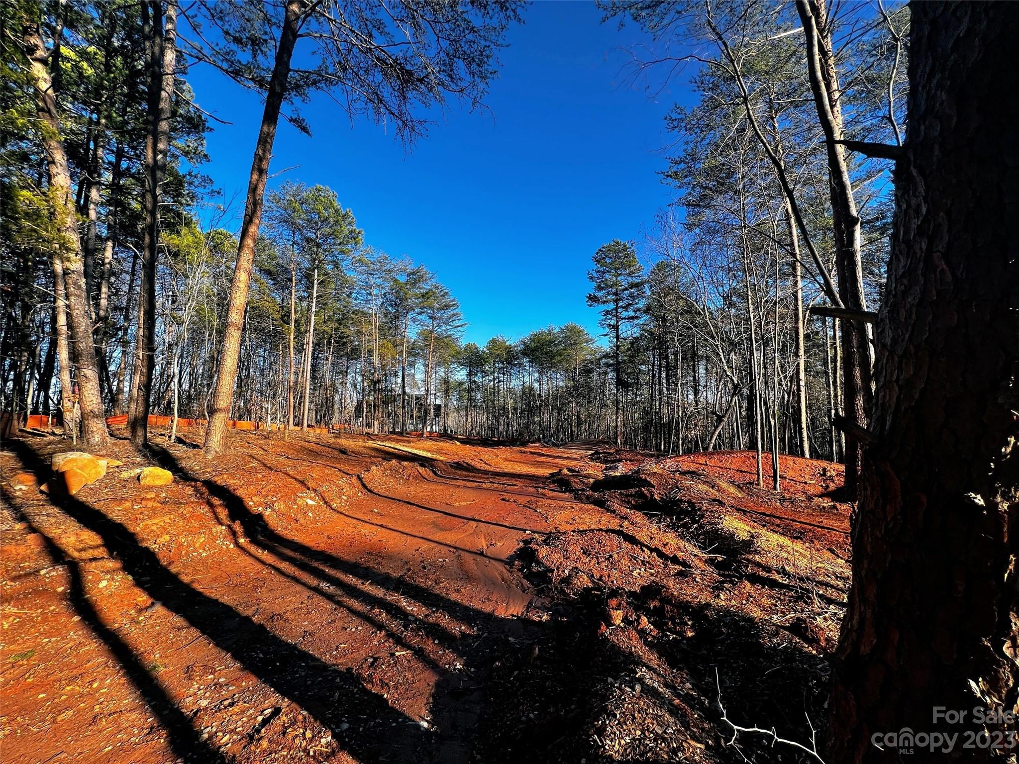 130 Hunt Camp Trail 14 Property Photo 4