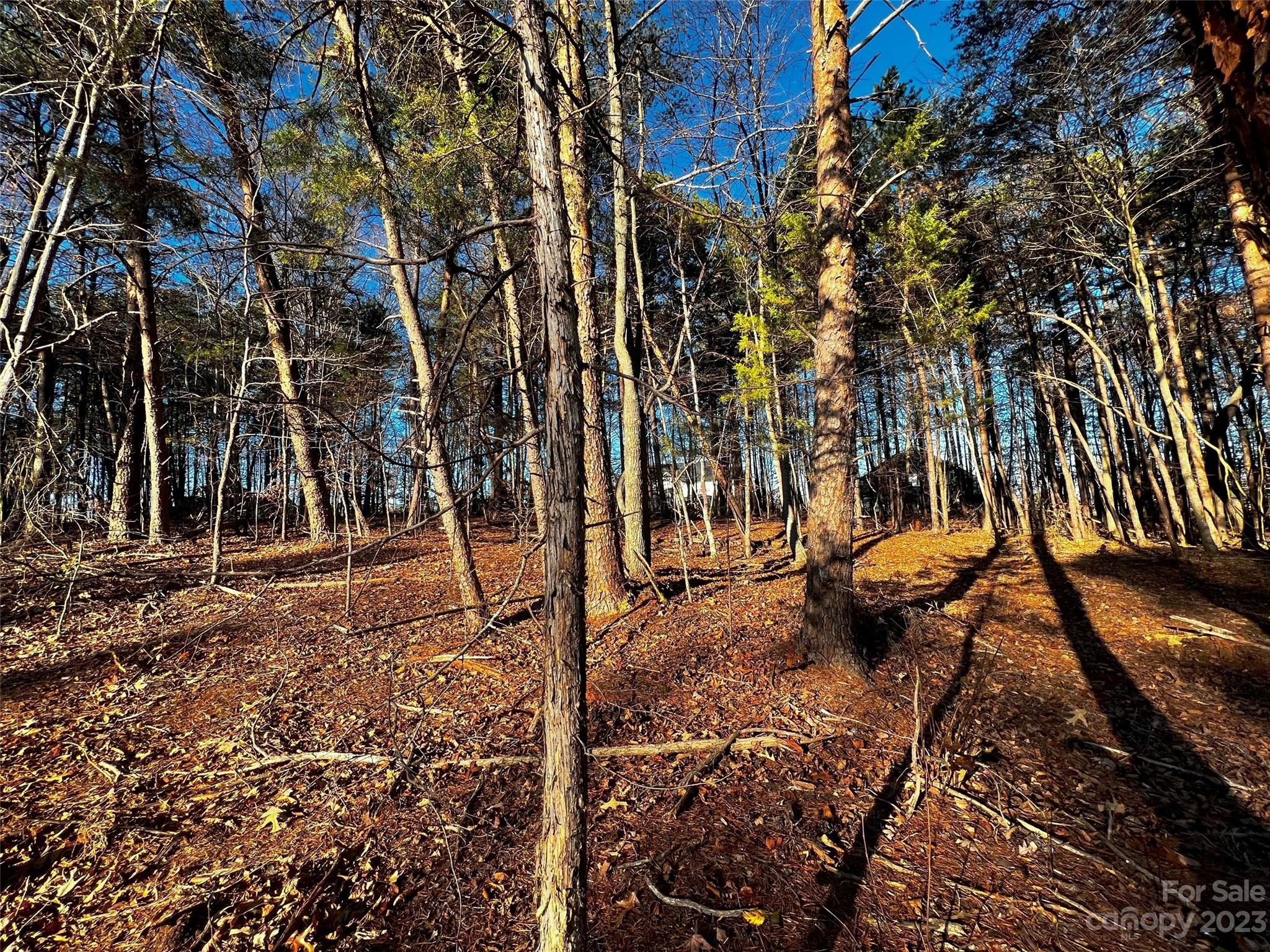 127 Hunt Camp Trail 16 Property Photo 4