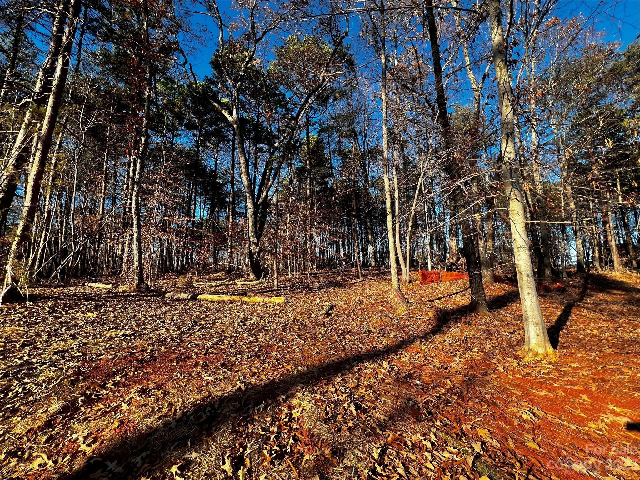 123 Hunt Camp Trail 17 Property Photo 1