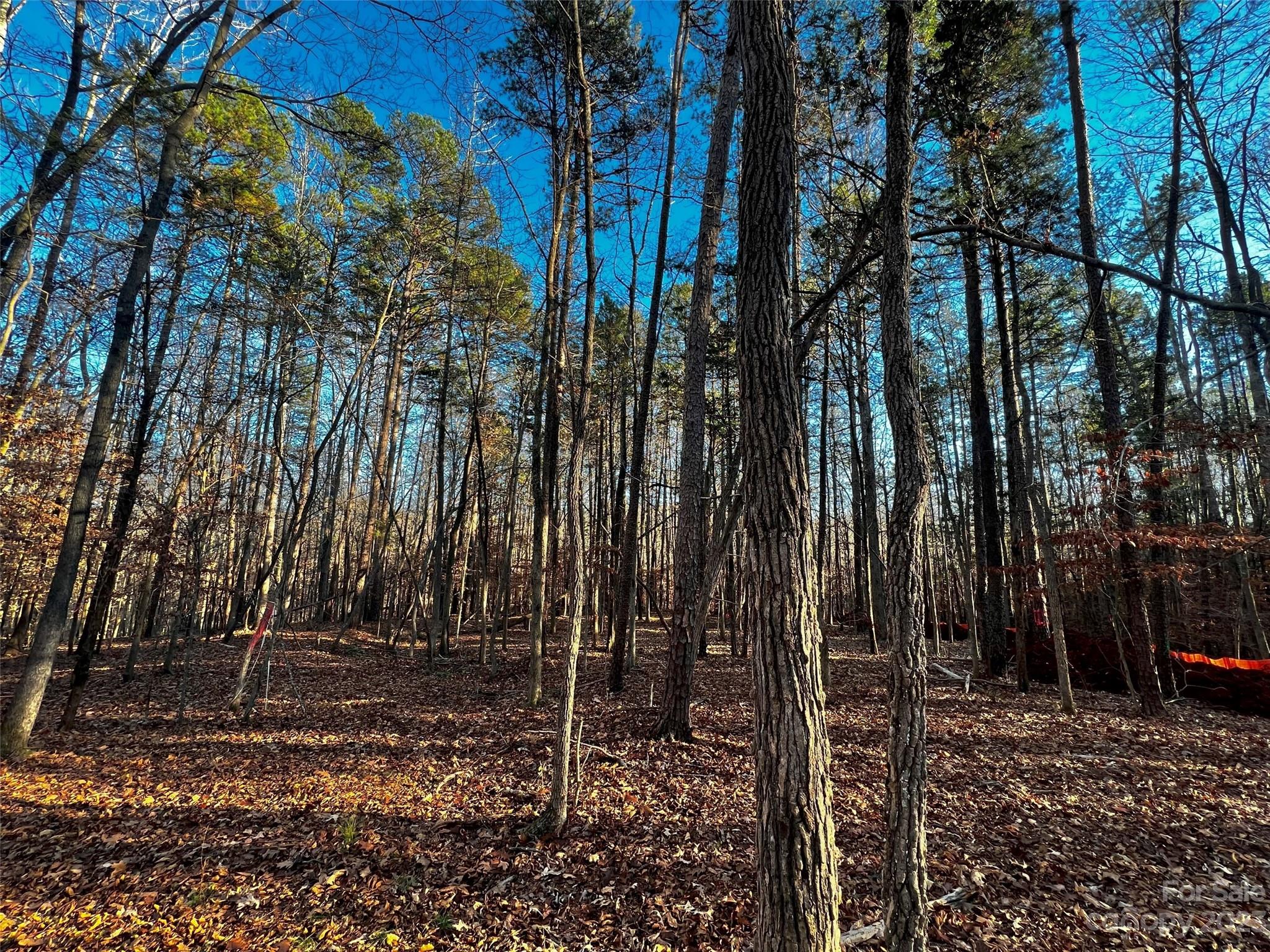 126 Hunt Camp Trail 20 Property Photo 2