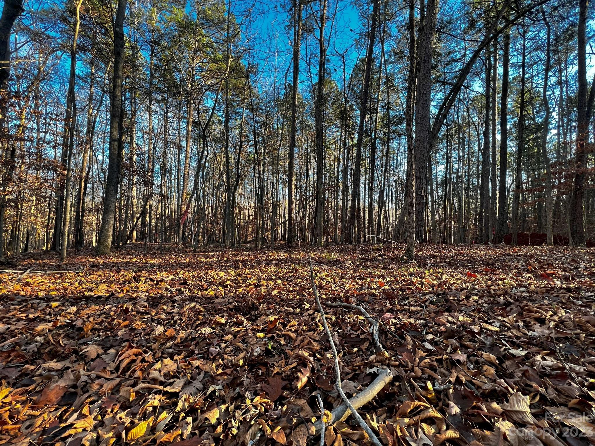 126 Hunt Camp Trail 20 Property Photo 3