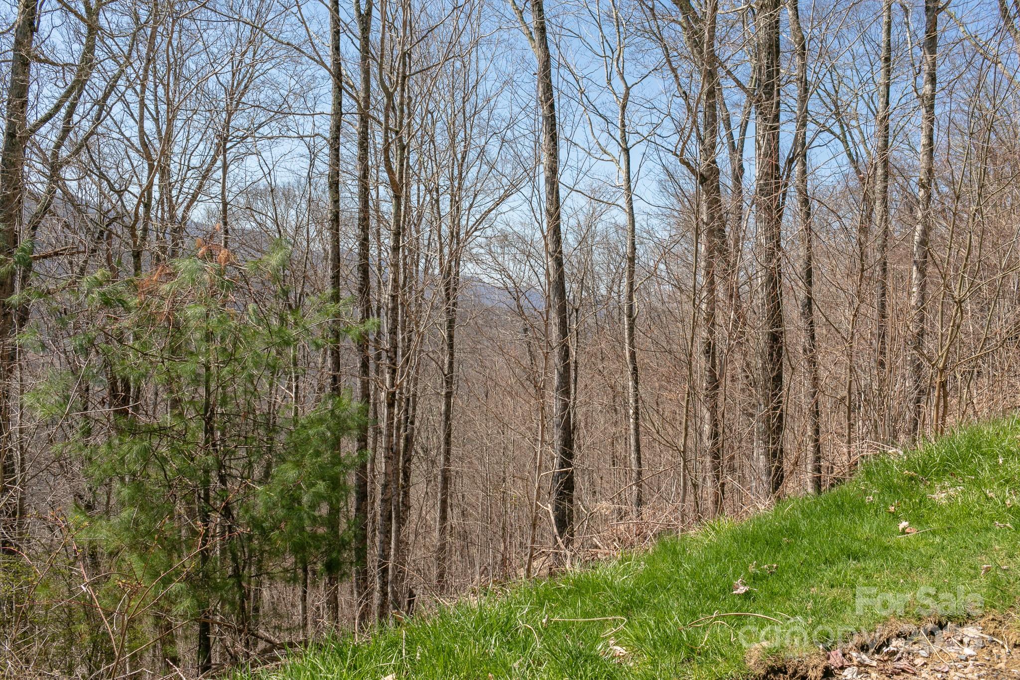 Lot 13 Austin Mountain Drive 13/3 Property Photo 4