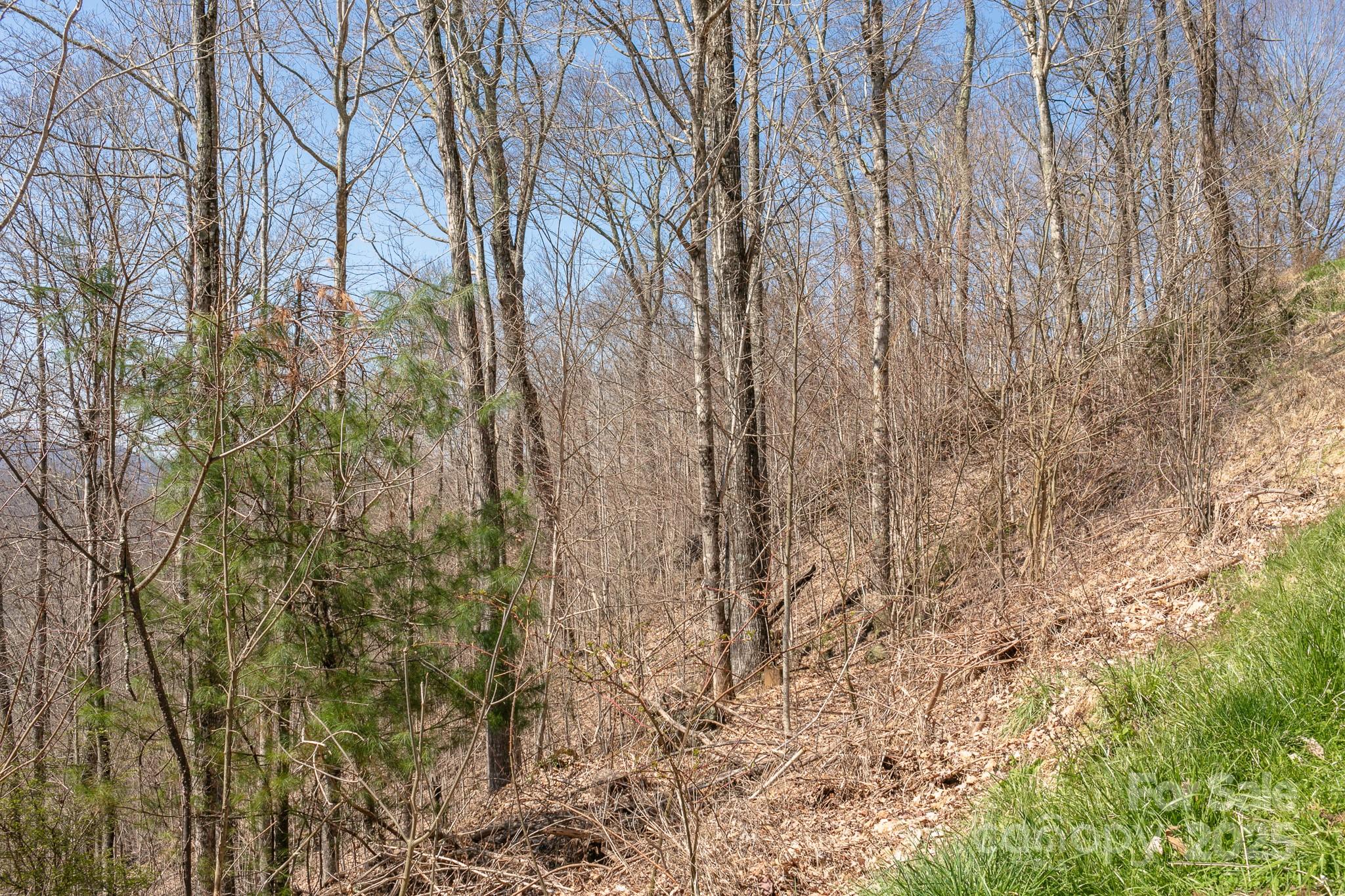 Lot 13 Austin Mountain Drive 13/3 Property Photo 8