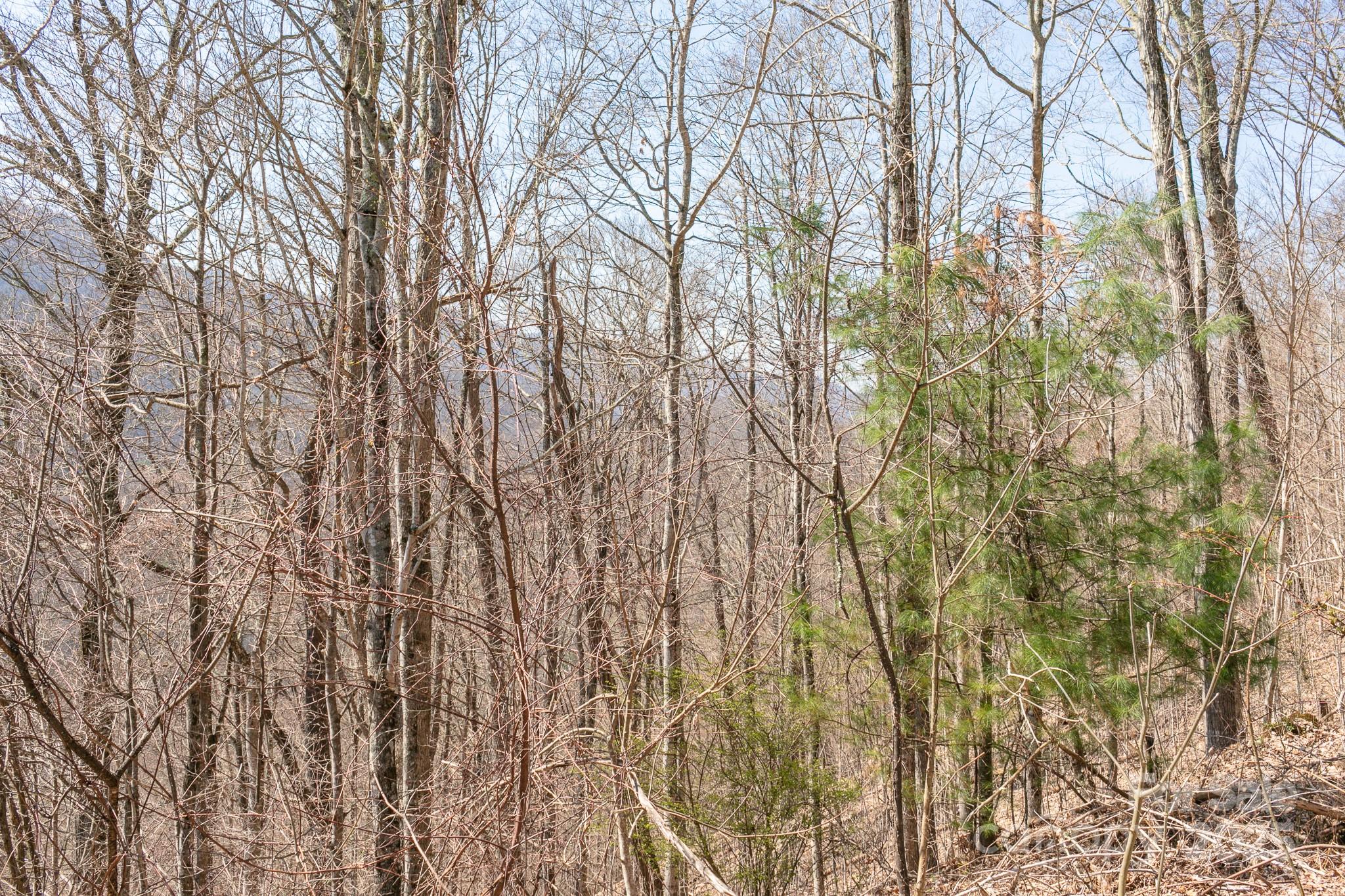 Lot 13 Austin Mountain Drive 13/3 Property Photo 9