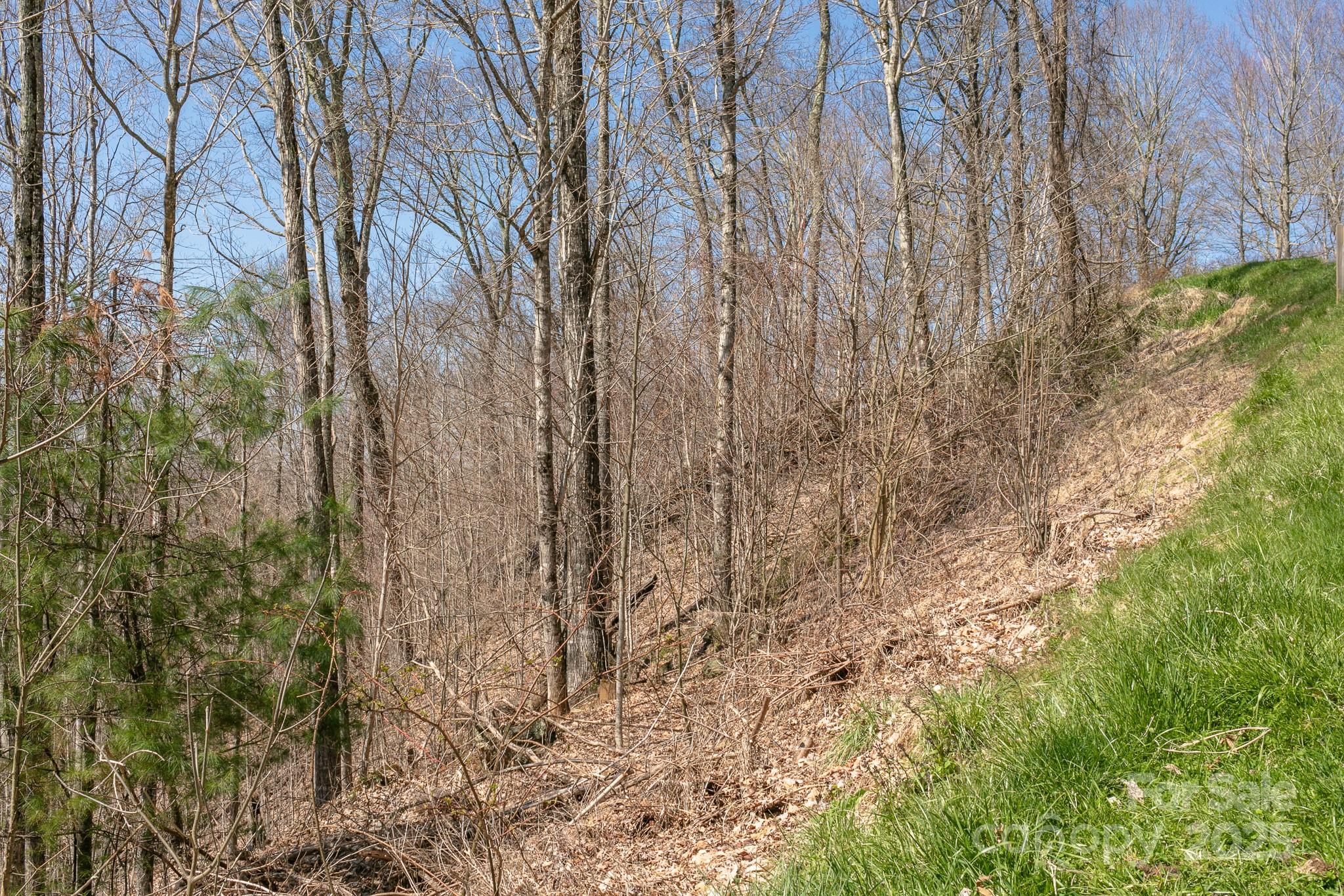 Lot 13 Austin Mountain Drive 13/3 Property Photo 10