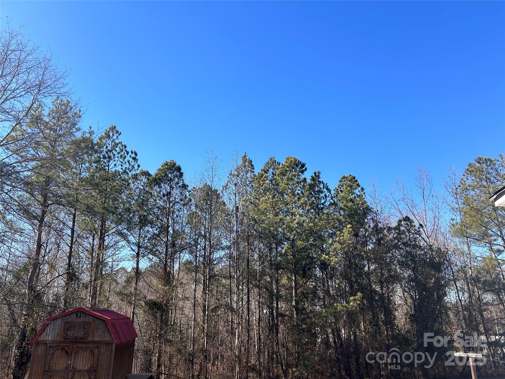 2407 Heyward Brockington Road 7 Property Photo 10