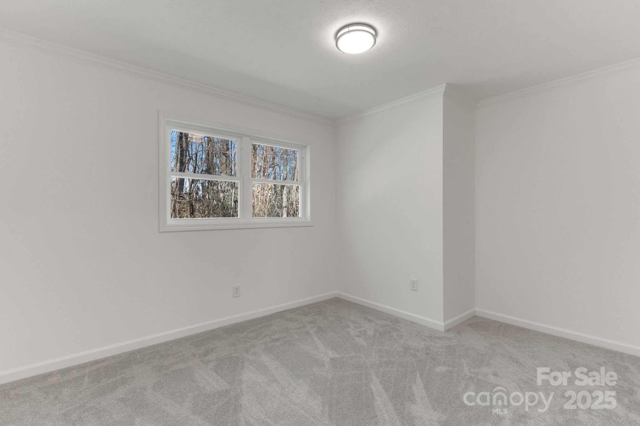 240 Spicewood Lane Property Photo 19