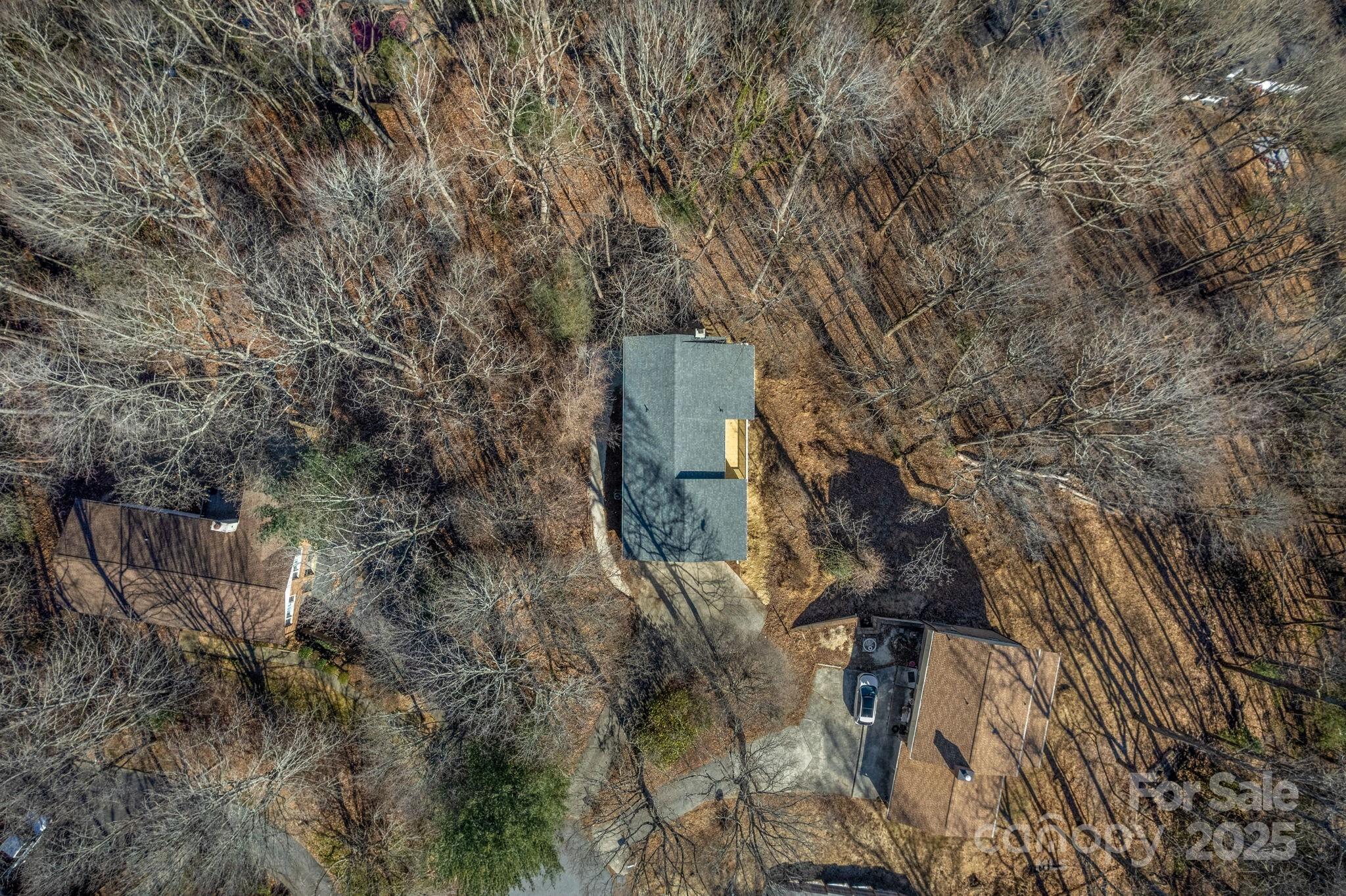 240 Spicewood Lane Property Photo 41