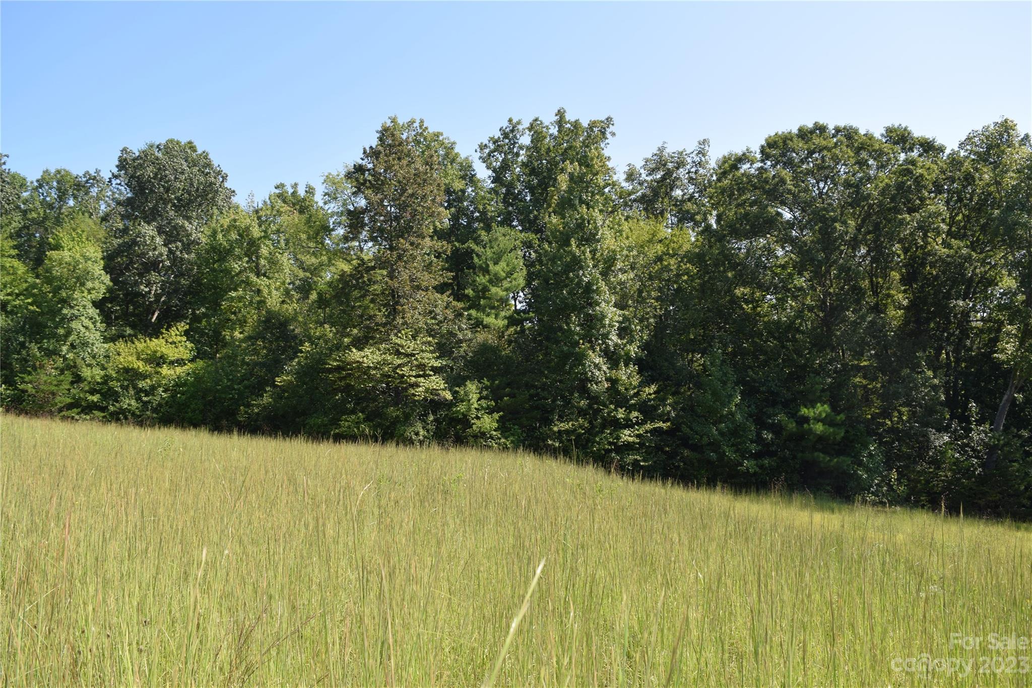 913 Jamestown Road Property Photo 10