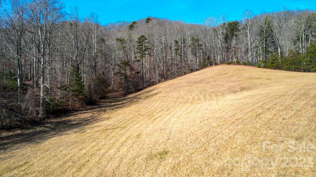 66 Fox Branch Road Property Photo 31