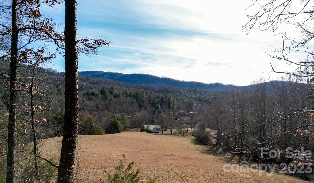 66 Fox Branch Road Property Photo 33