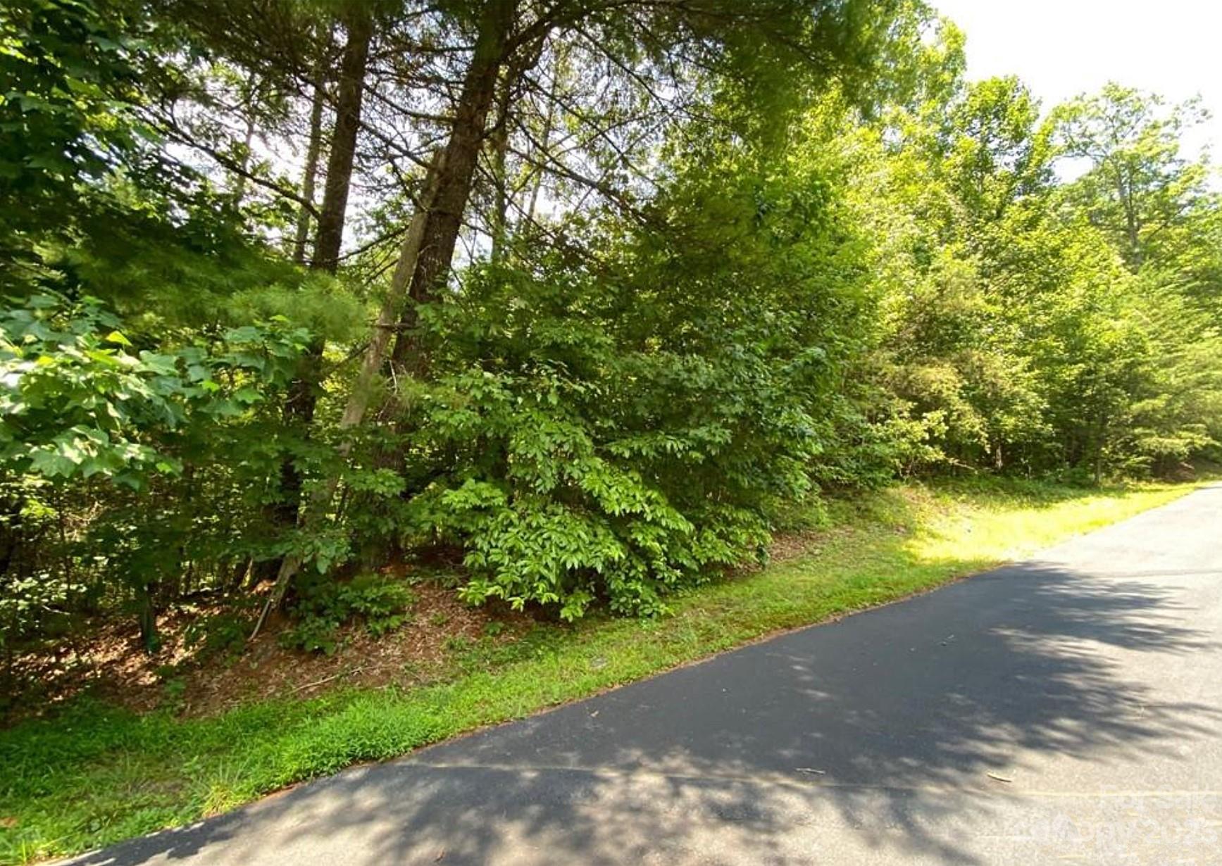 68 Stepp Ridge Court Property Photo 1