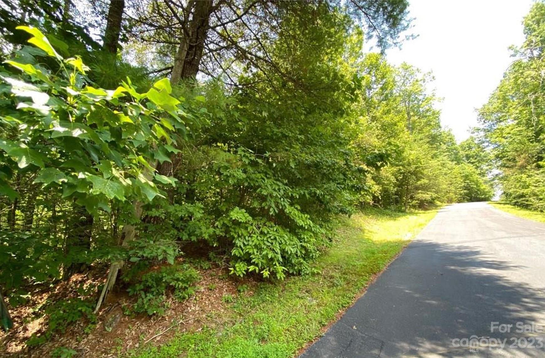 68 Stepp Ridge Court Property Photo 2