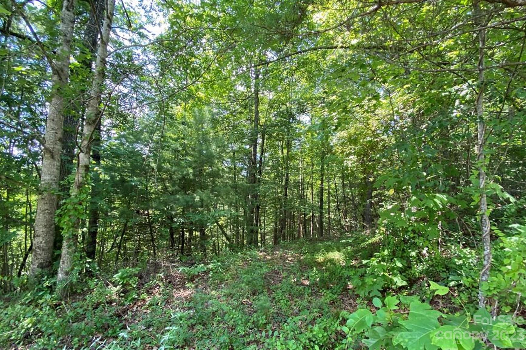 68 Stepp Ridge Court Property Photo 5