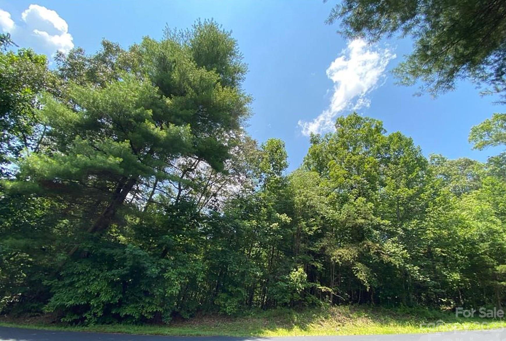 68 Stepp Ridge Court Property Photo 6