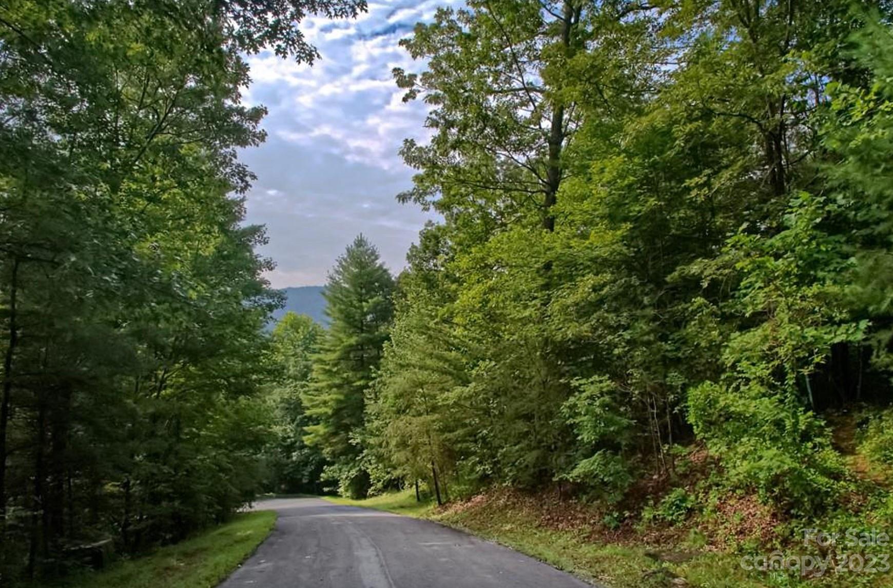 68 Stepp Ridge Court Property Photo 7