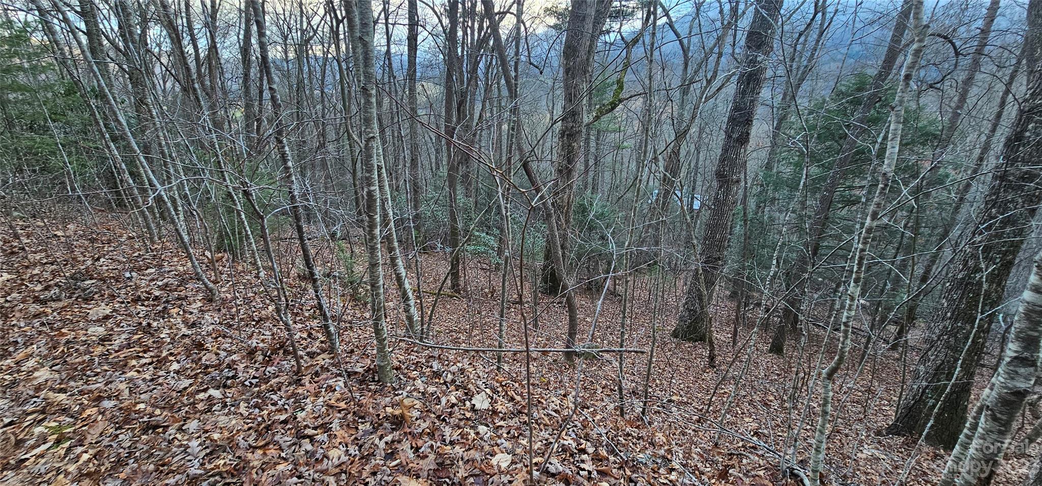 Lot 9 Seay Mountain Road Property Photo 4