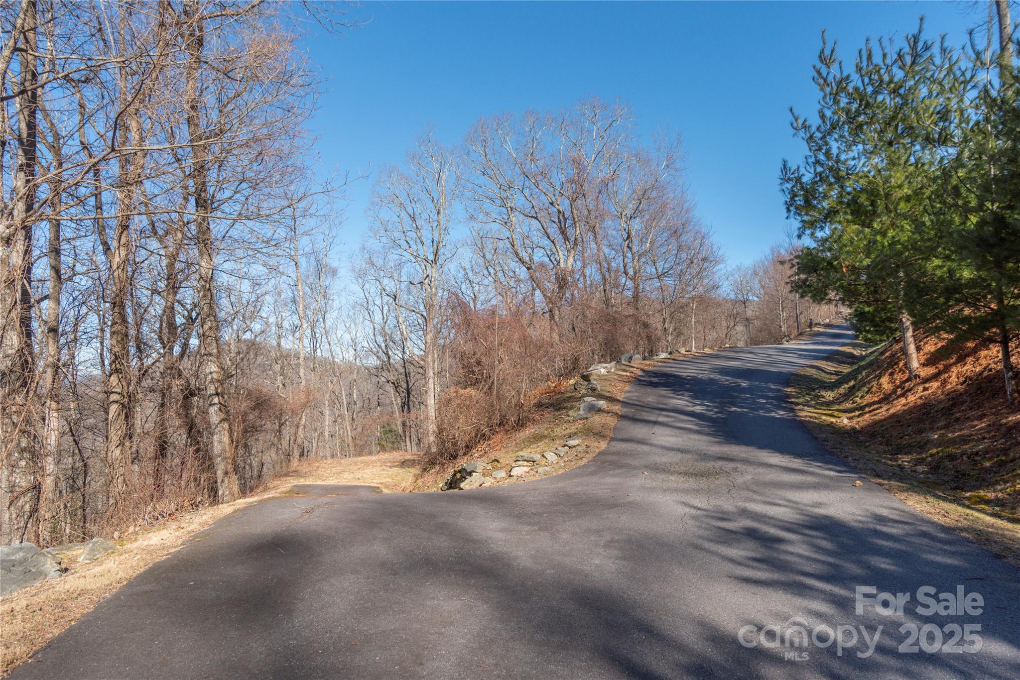 96 Castanea Mountain Drive Property Photo 1