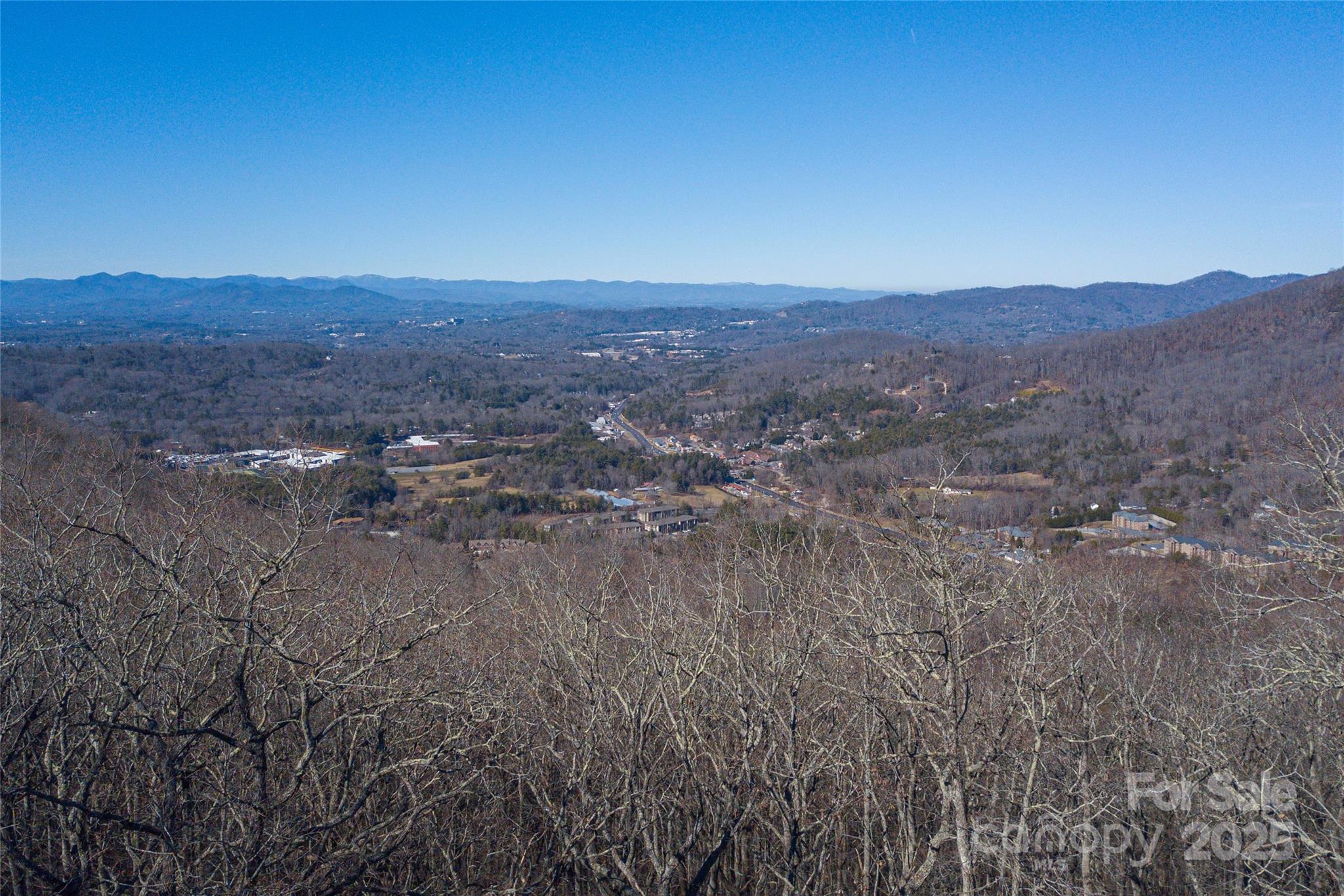 96 Castanea Mountain Drive Property Photo 4
