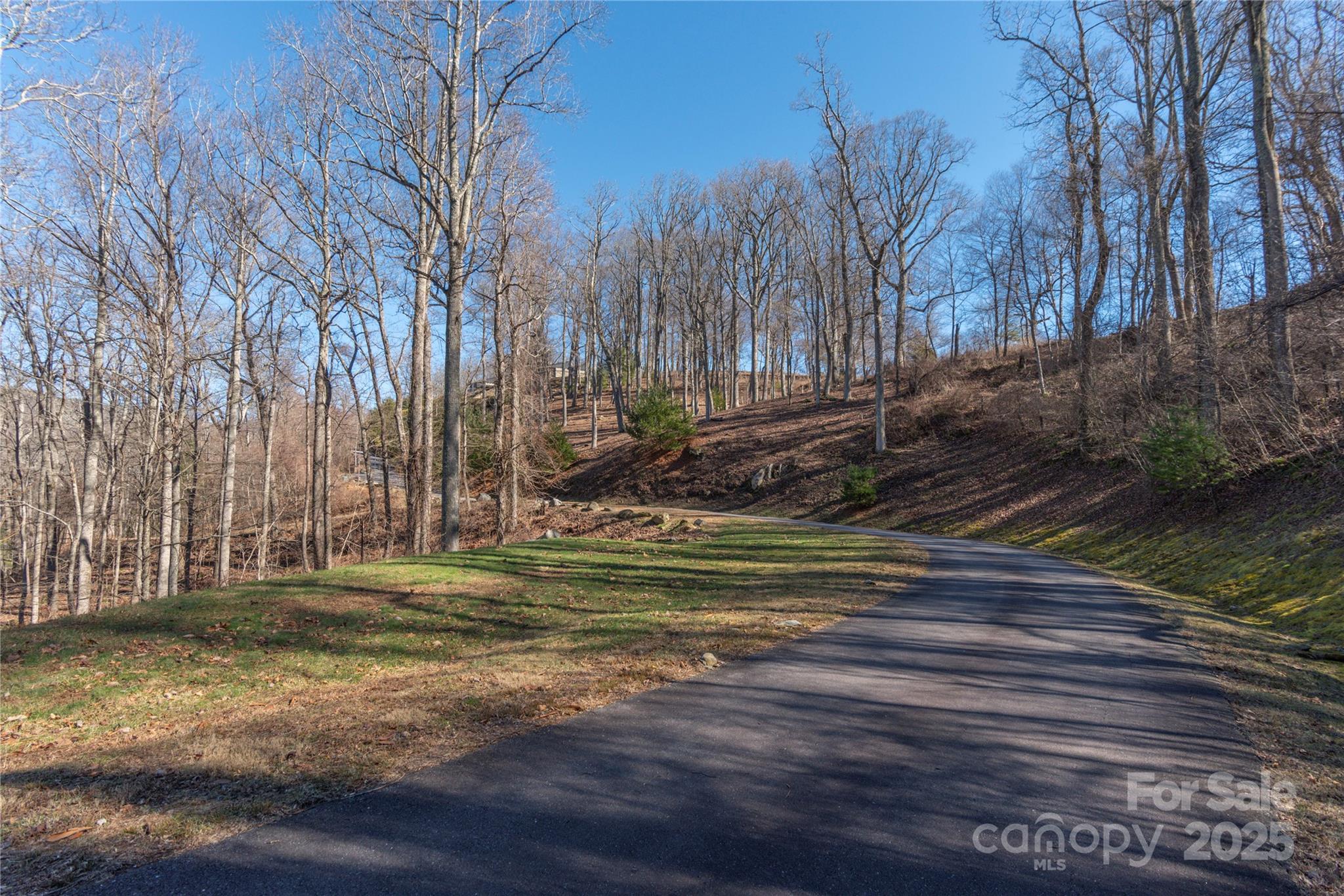96 Castanea Mountain Drive Property Photo 6