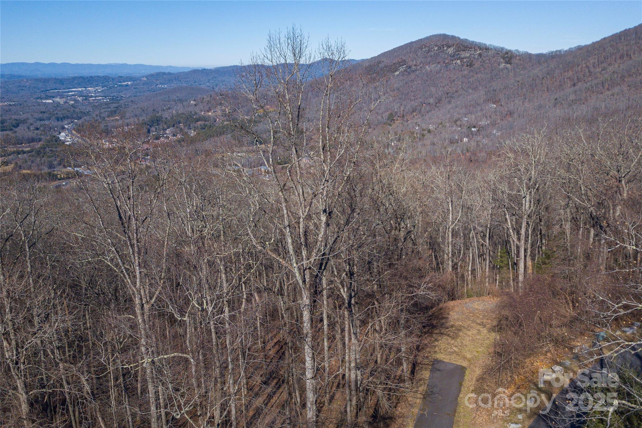 96 Castanea Mountain Drive Property Photo 7