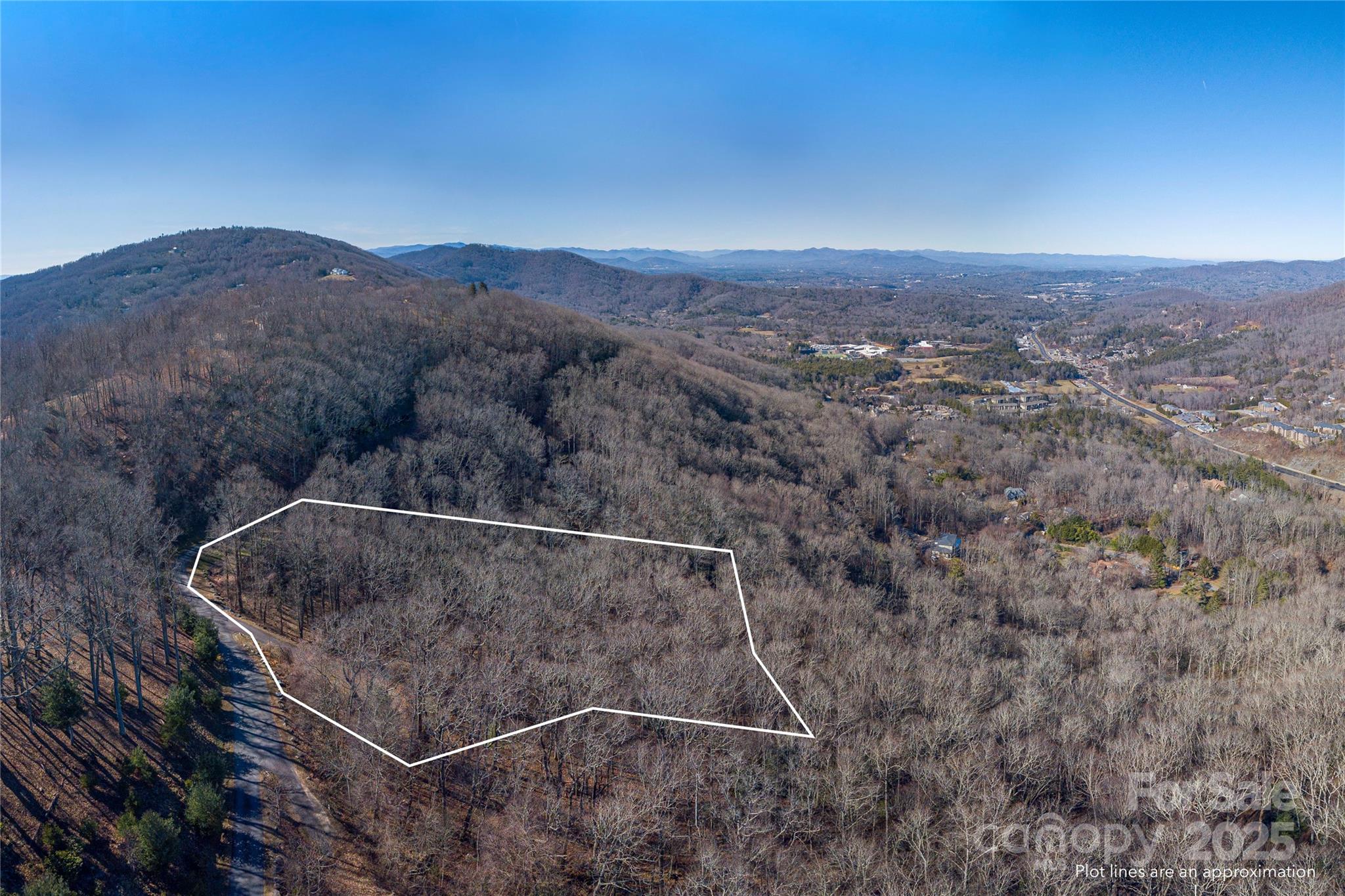 96 Castanea Mountain Drive Property Photo 8