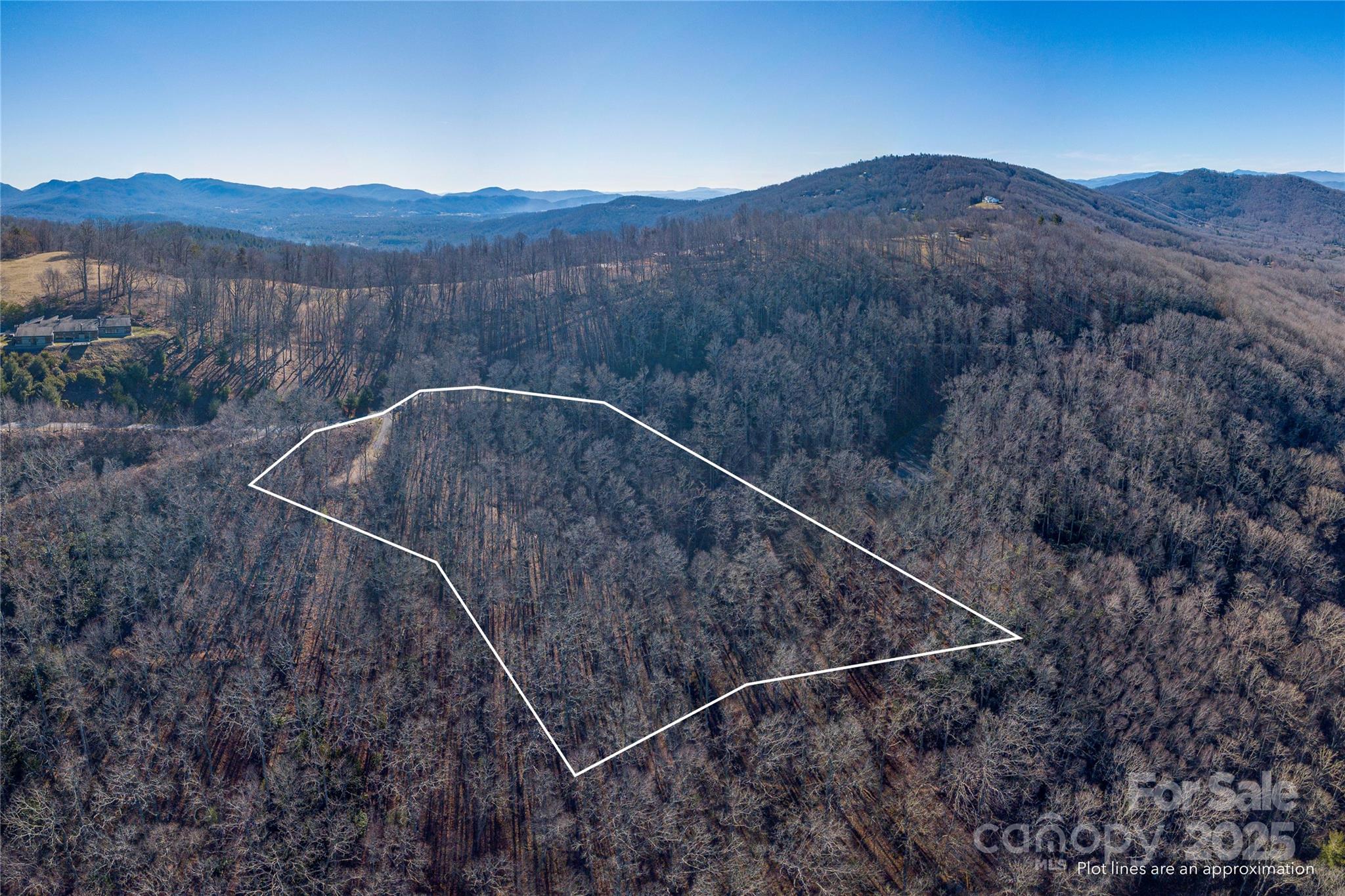 96 Castanea Mountain Drive Property Photo 9