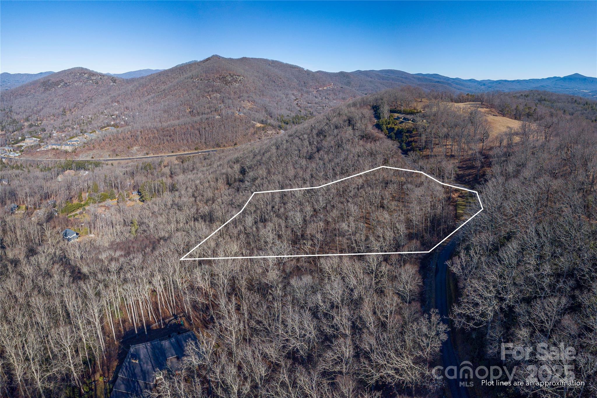96 Castanea Mountain Drive Property Photo 11