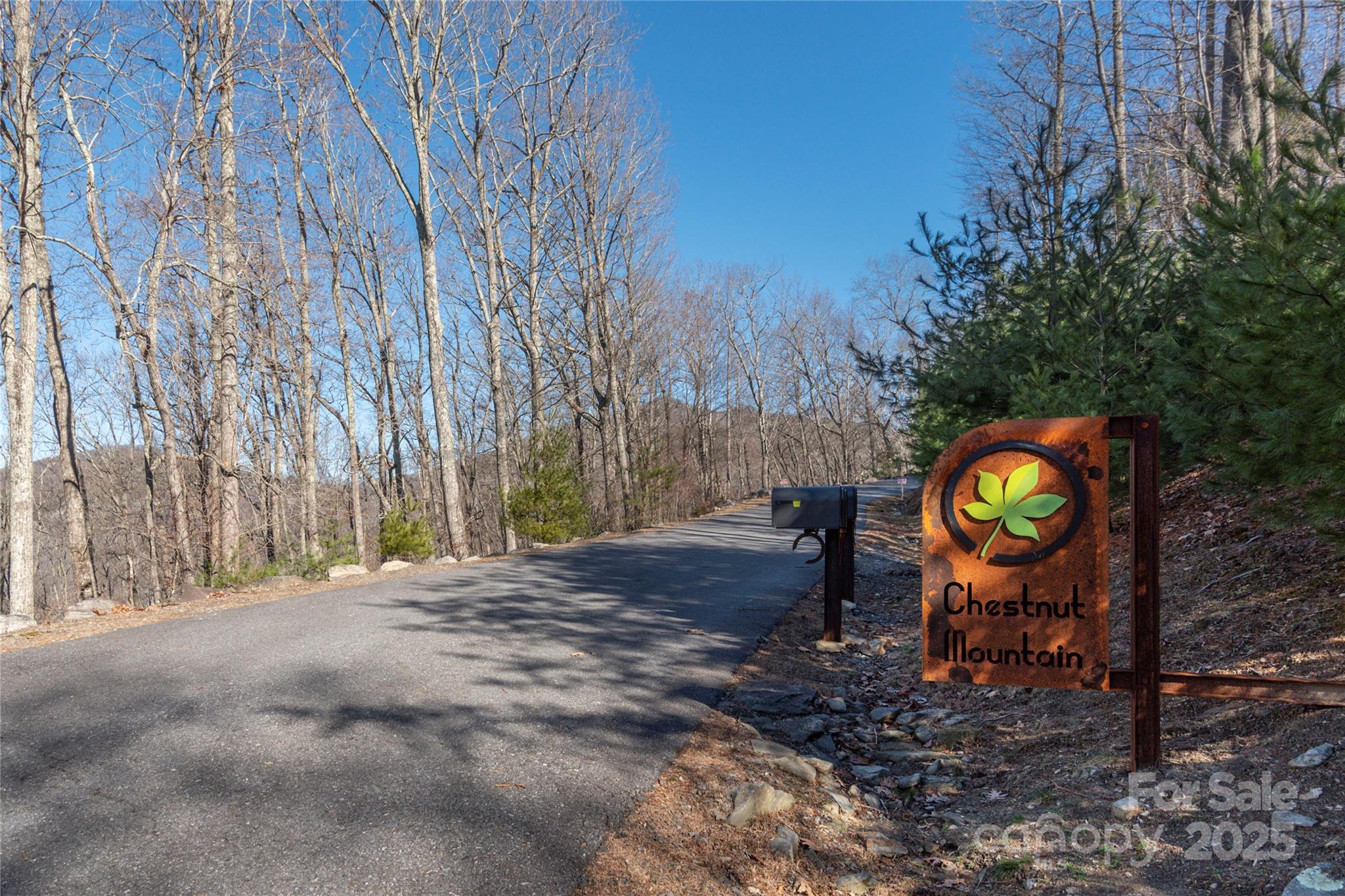 96 Castanea Mountain Drive Property Photo 12