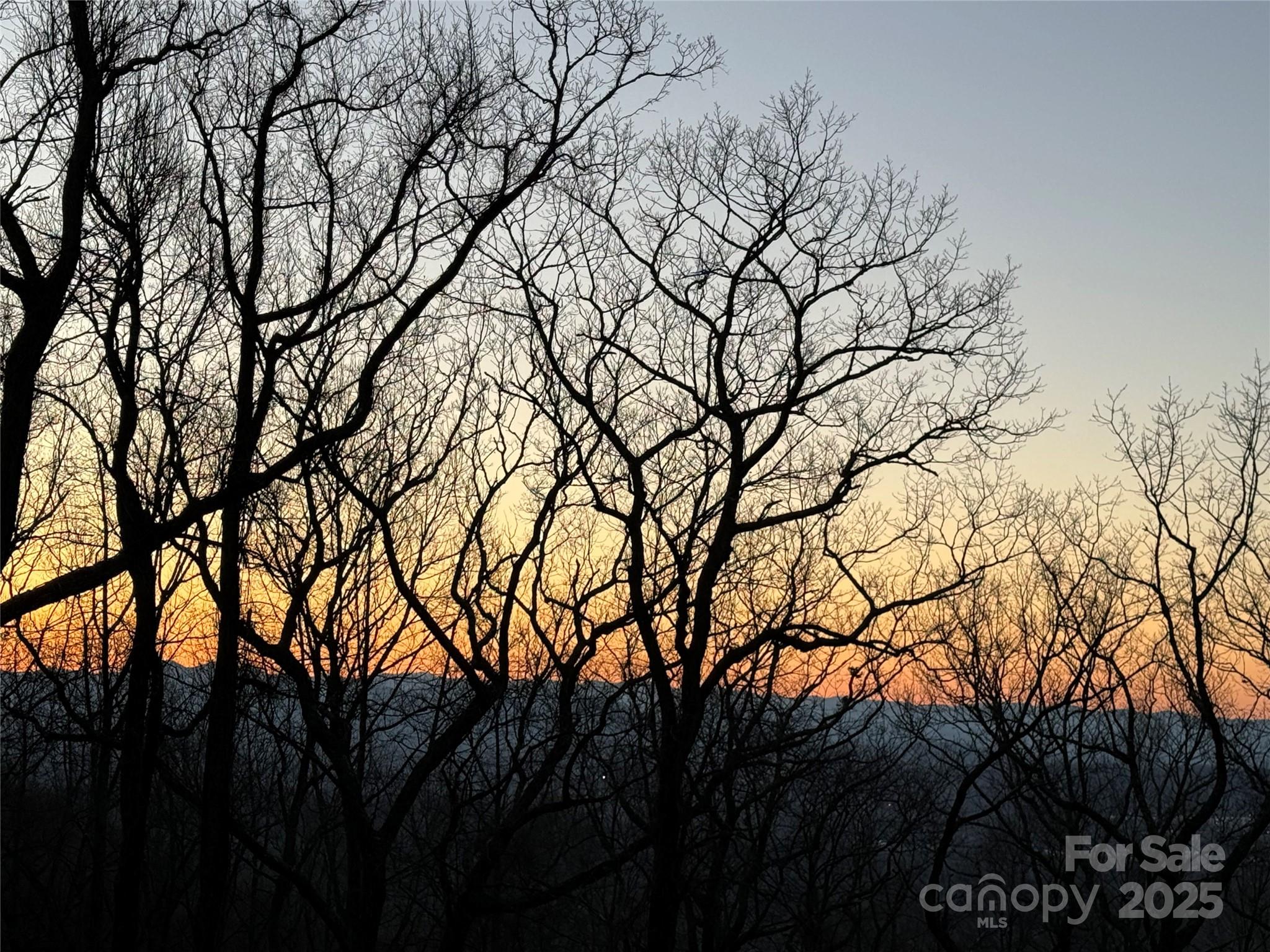 96 Castanea Mountain Drive Property Photo 13