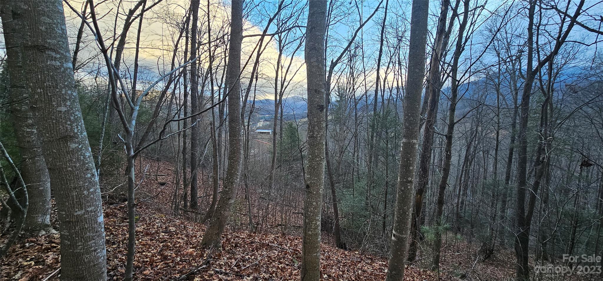 Lot 10 Seay Mountain Road Property Photo 1