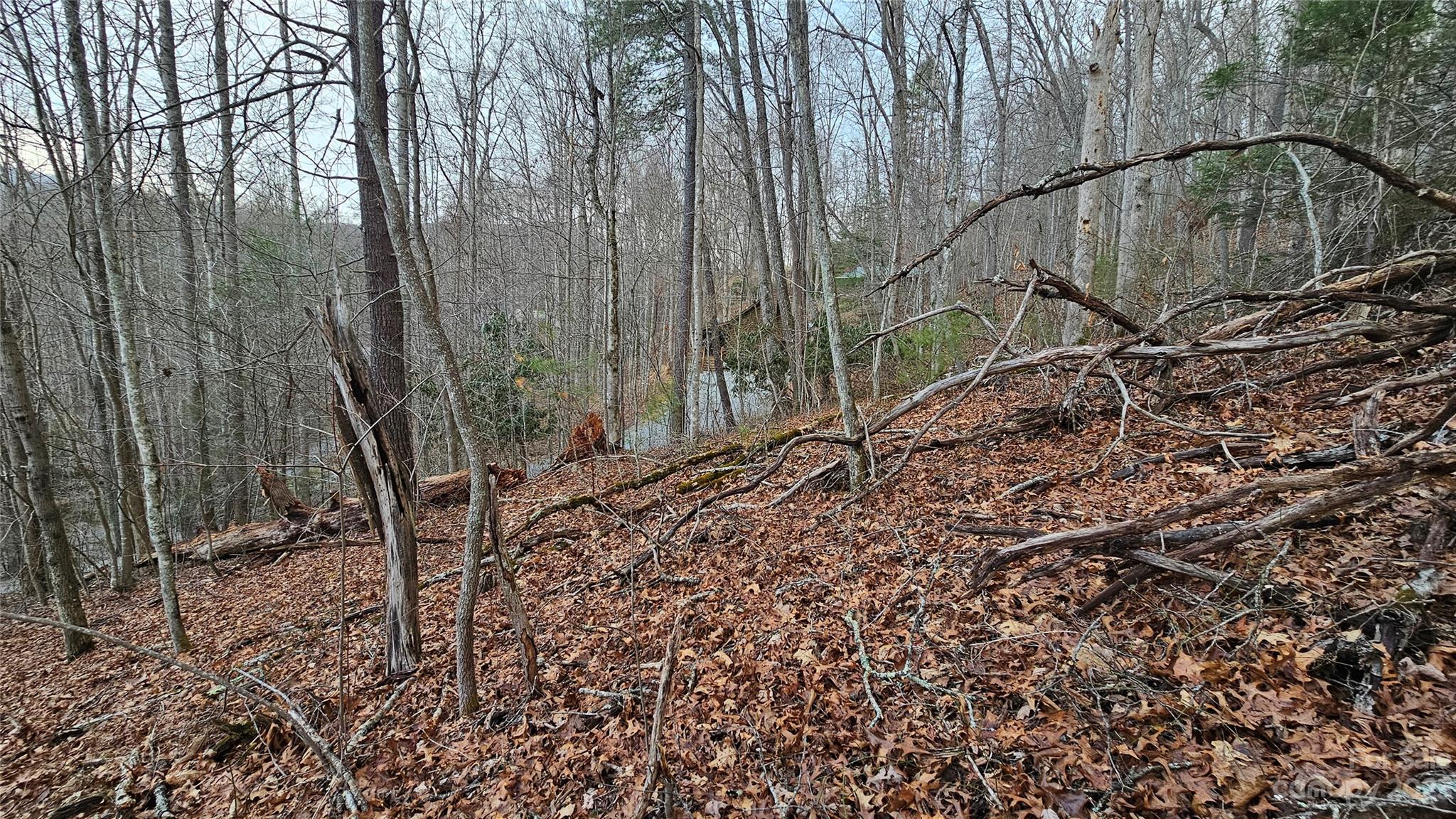 Lot 13 Seay Mountain Road Property Photo 2