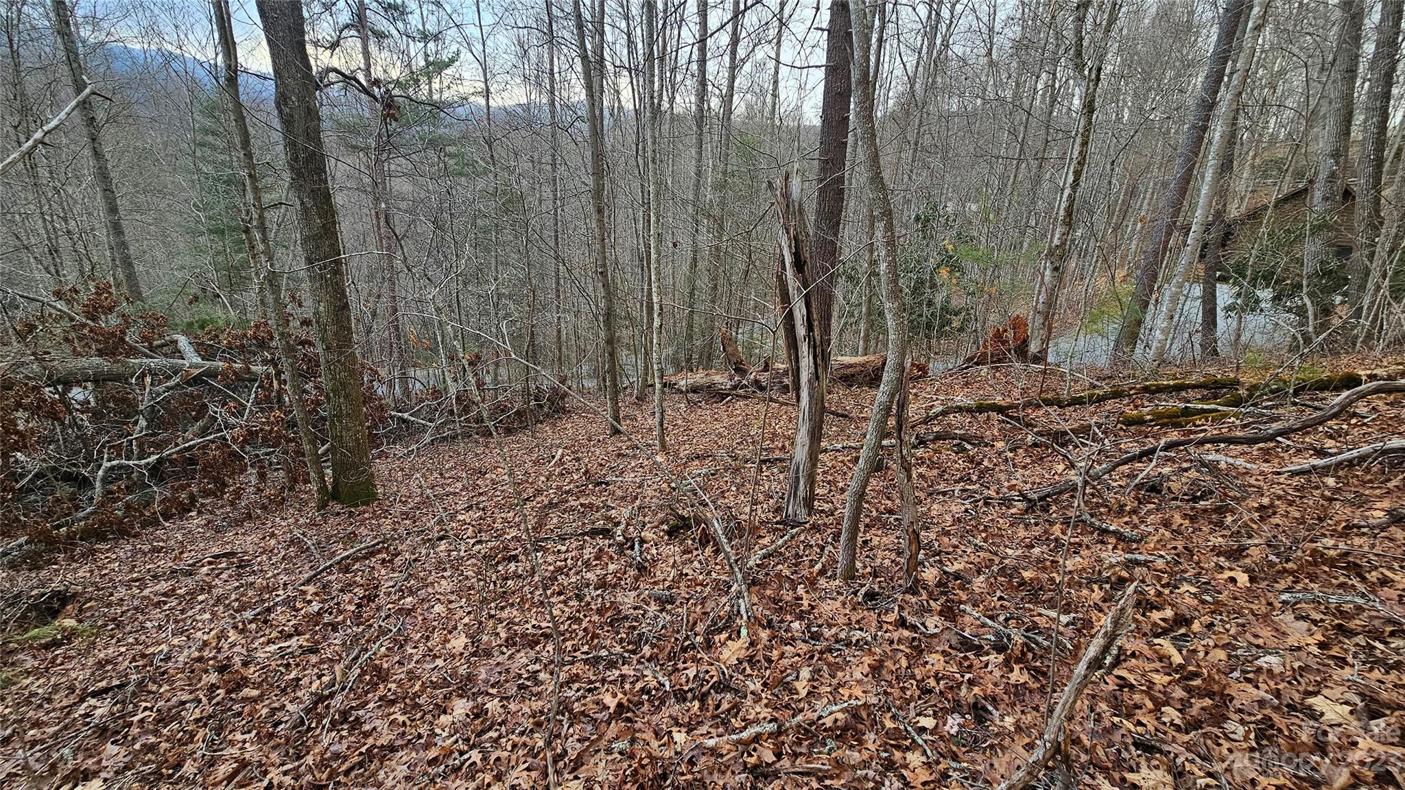Lot 13 Seay Mountain Road Property Photo 3