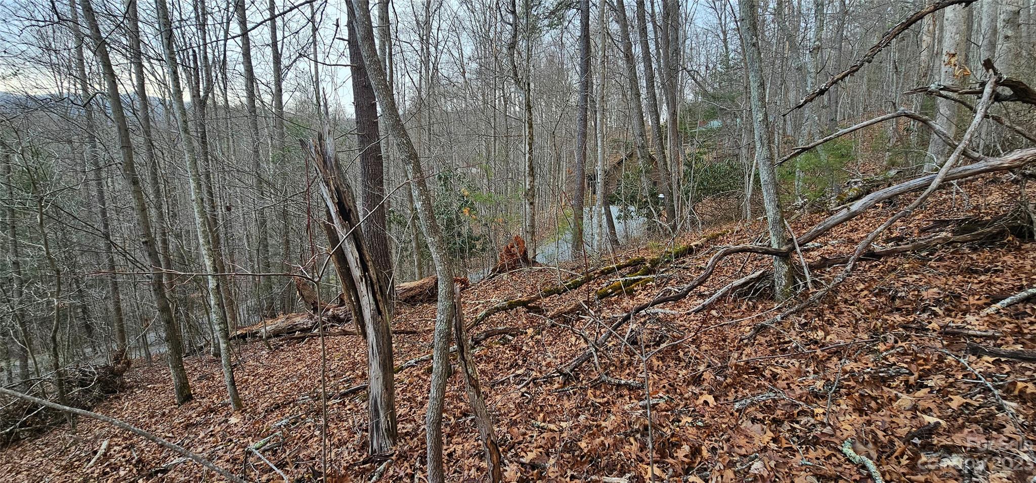 Lot 13 Seay Mountain Road Property Photo 4
