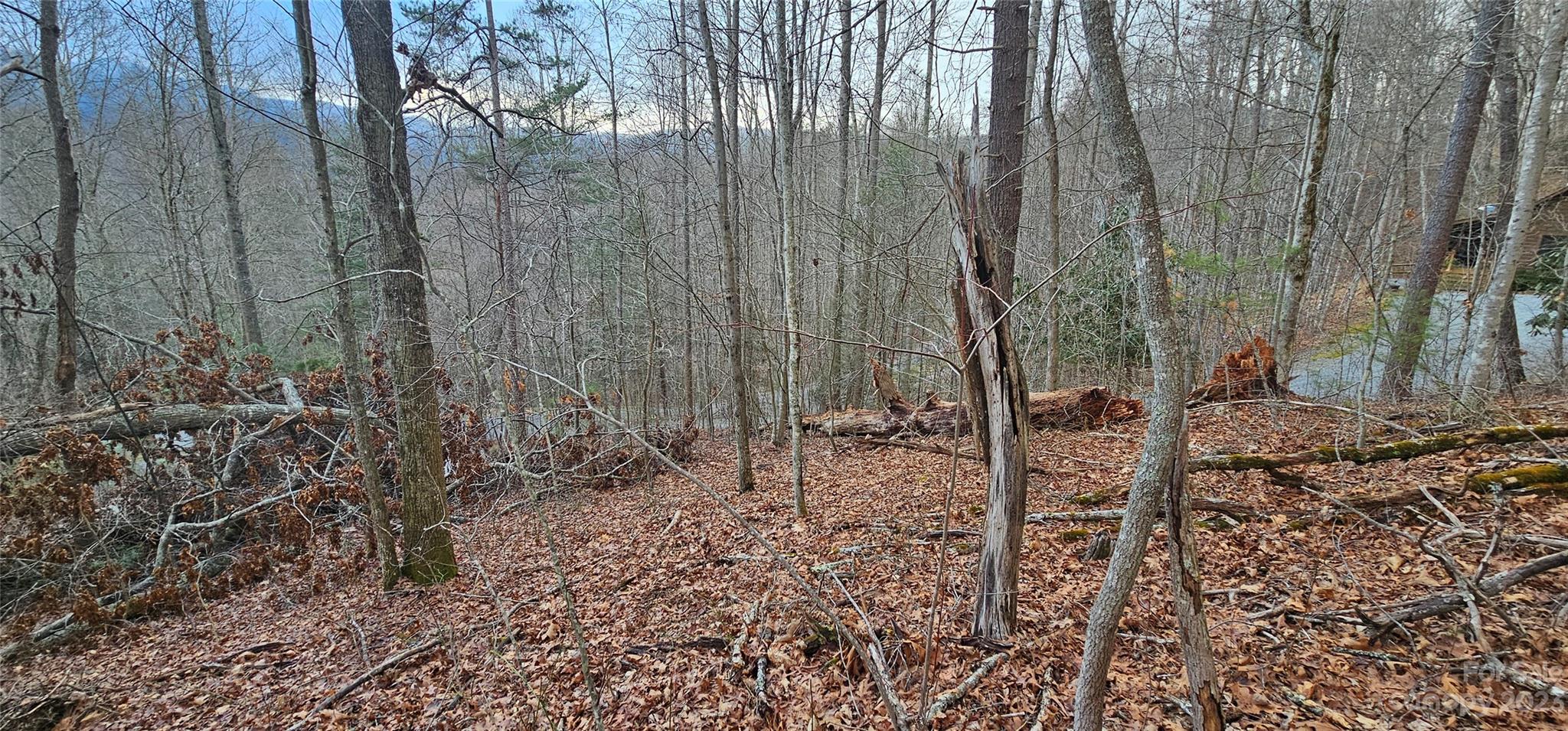 Lot 13 Seay Mountain Road Property Photo 5