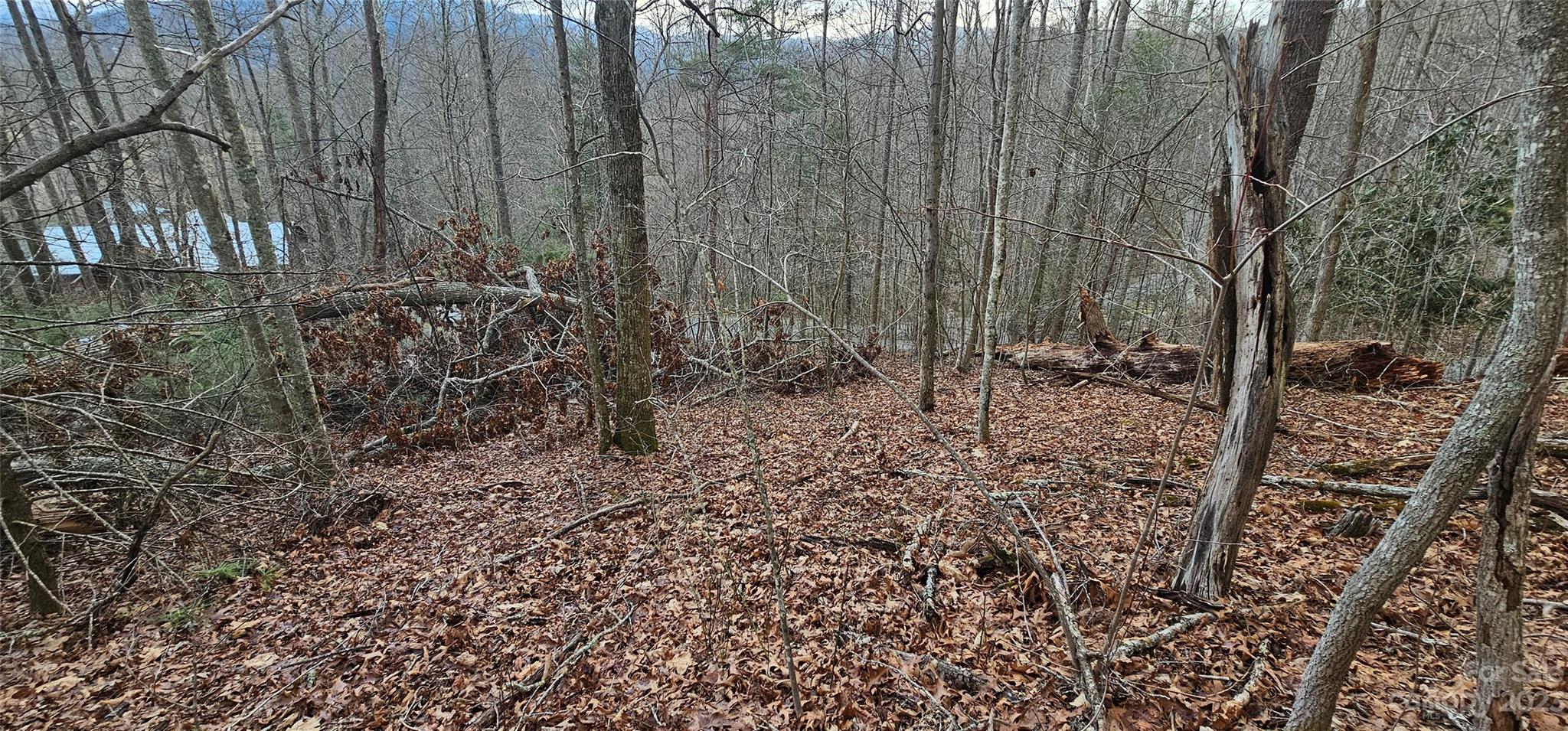 Lot 13 Seay Mountain Road Property Photo 6