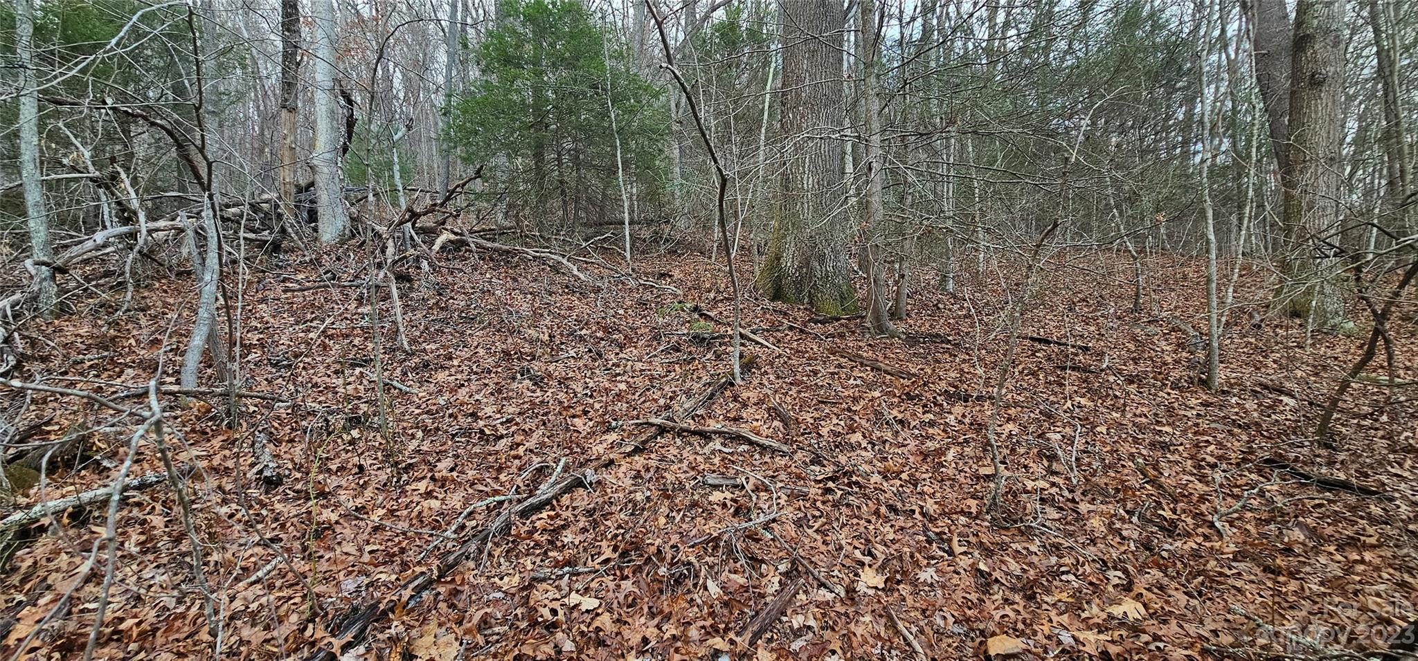 Lot 13 Seay Mountain Road Property Photo 7
