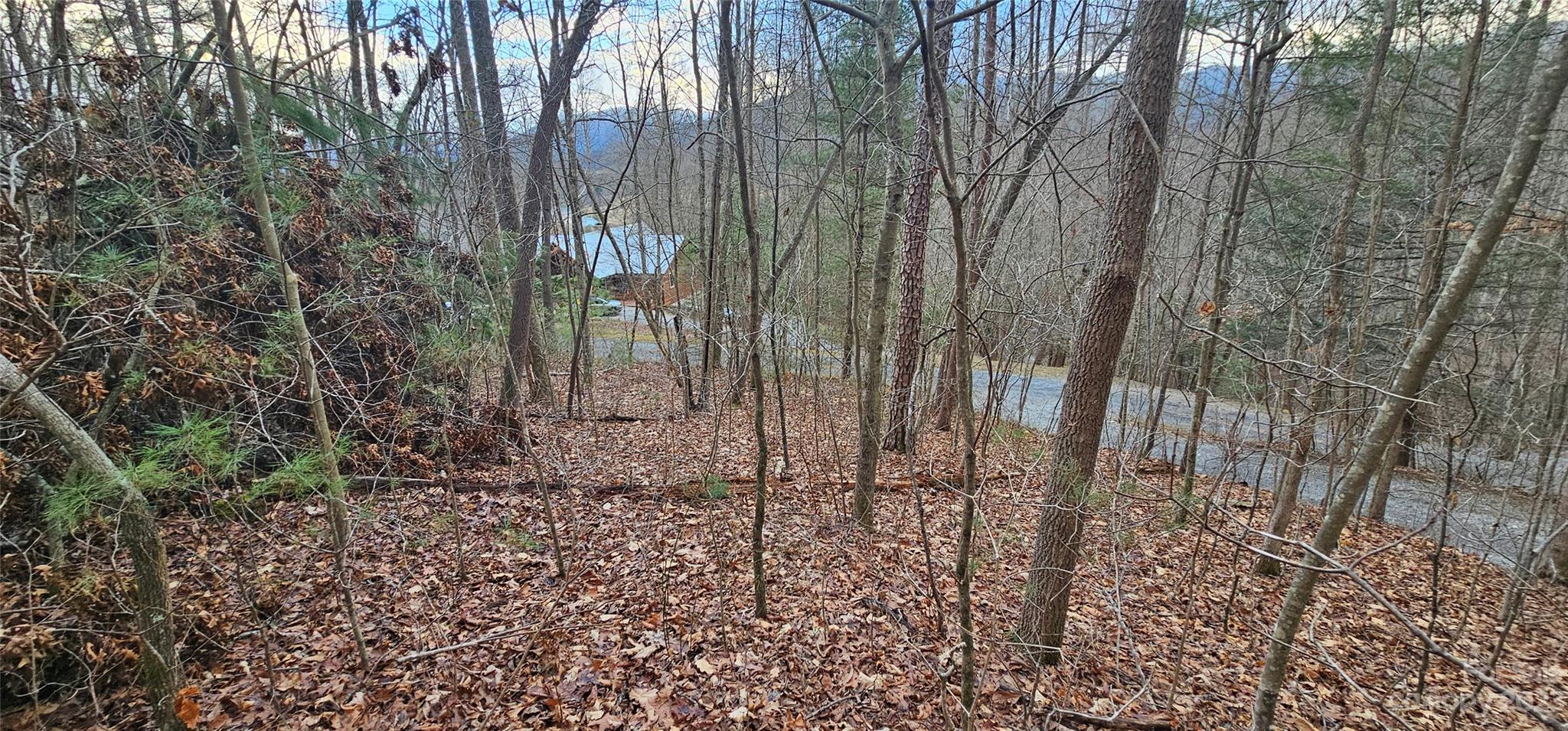 Lot 13 Seay Mountain Road Property Photo 8