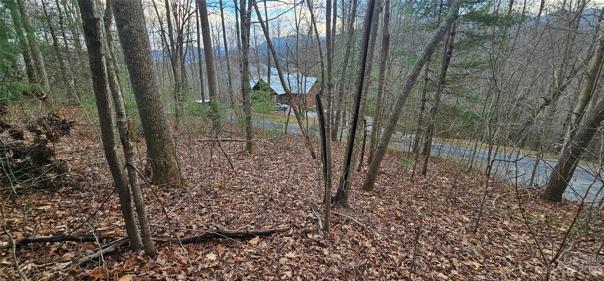 Lot 13 Seay Mountain Road Property Photo 9